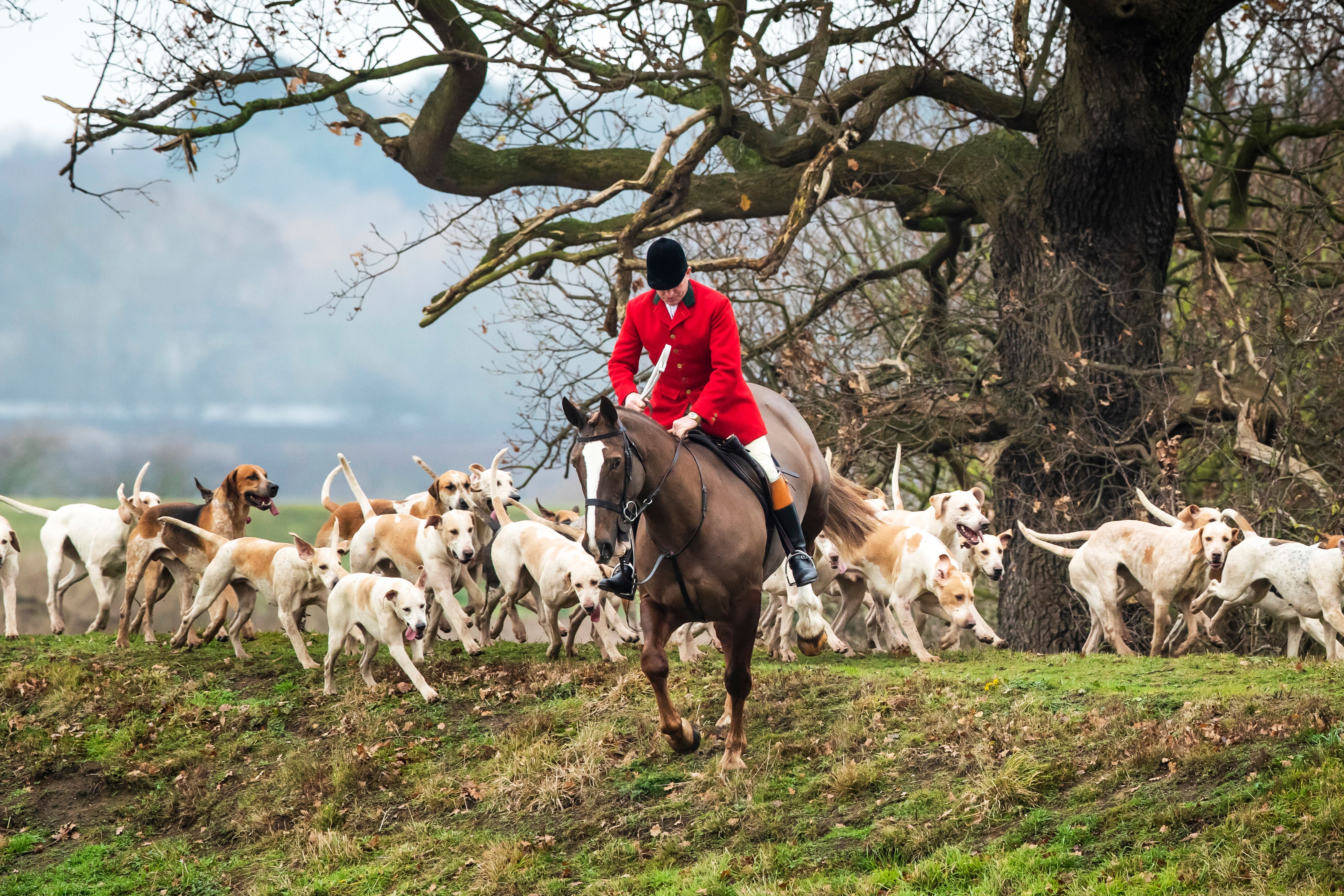 Riders and hounds as they take part in a Boxing Day hunt (PA)