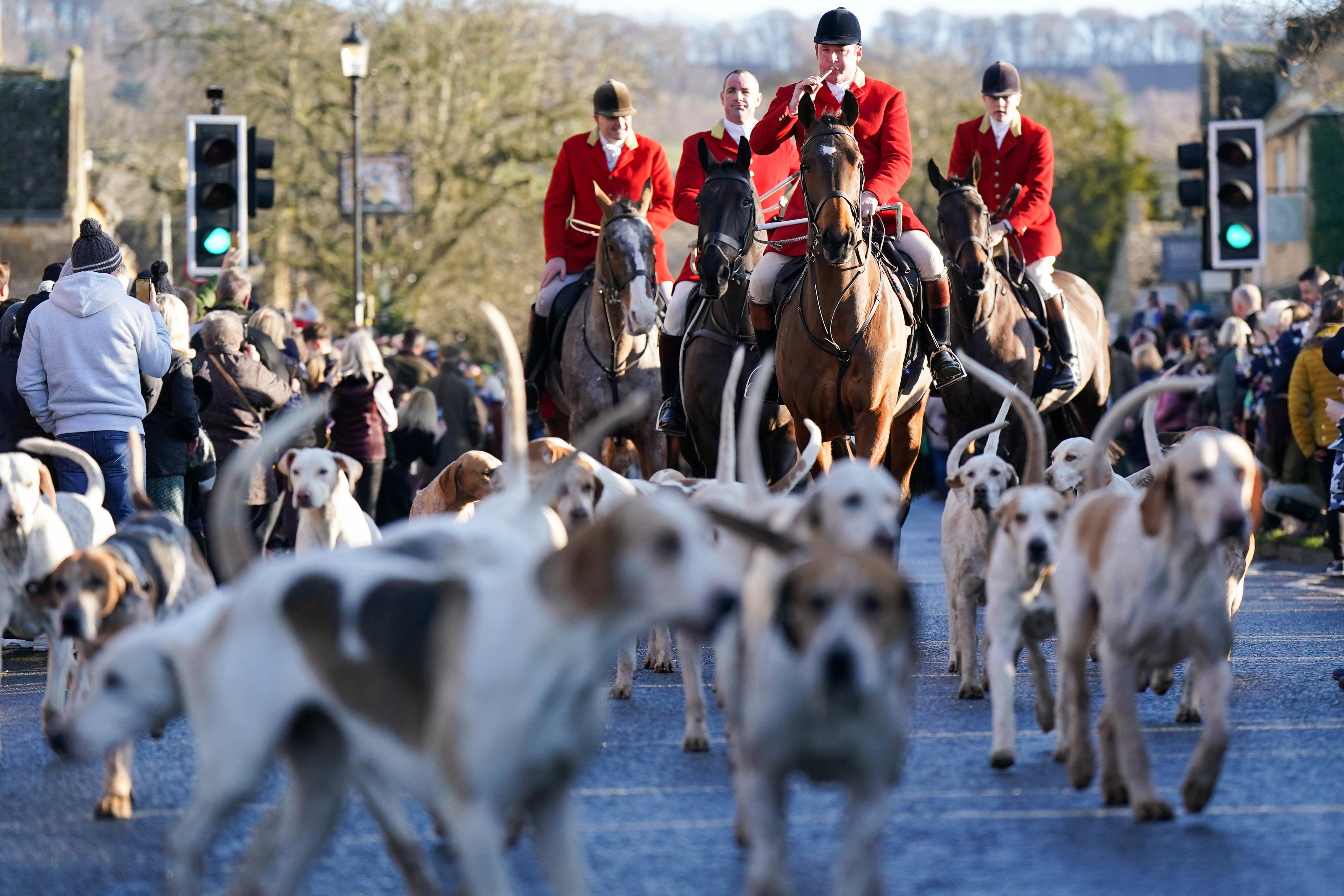 Hundreds of cases of ‘hunt havoc’ were reported, including road traffic being disrupted