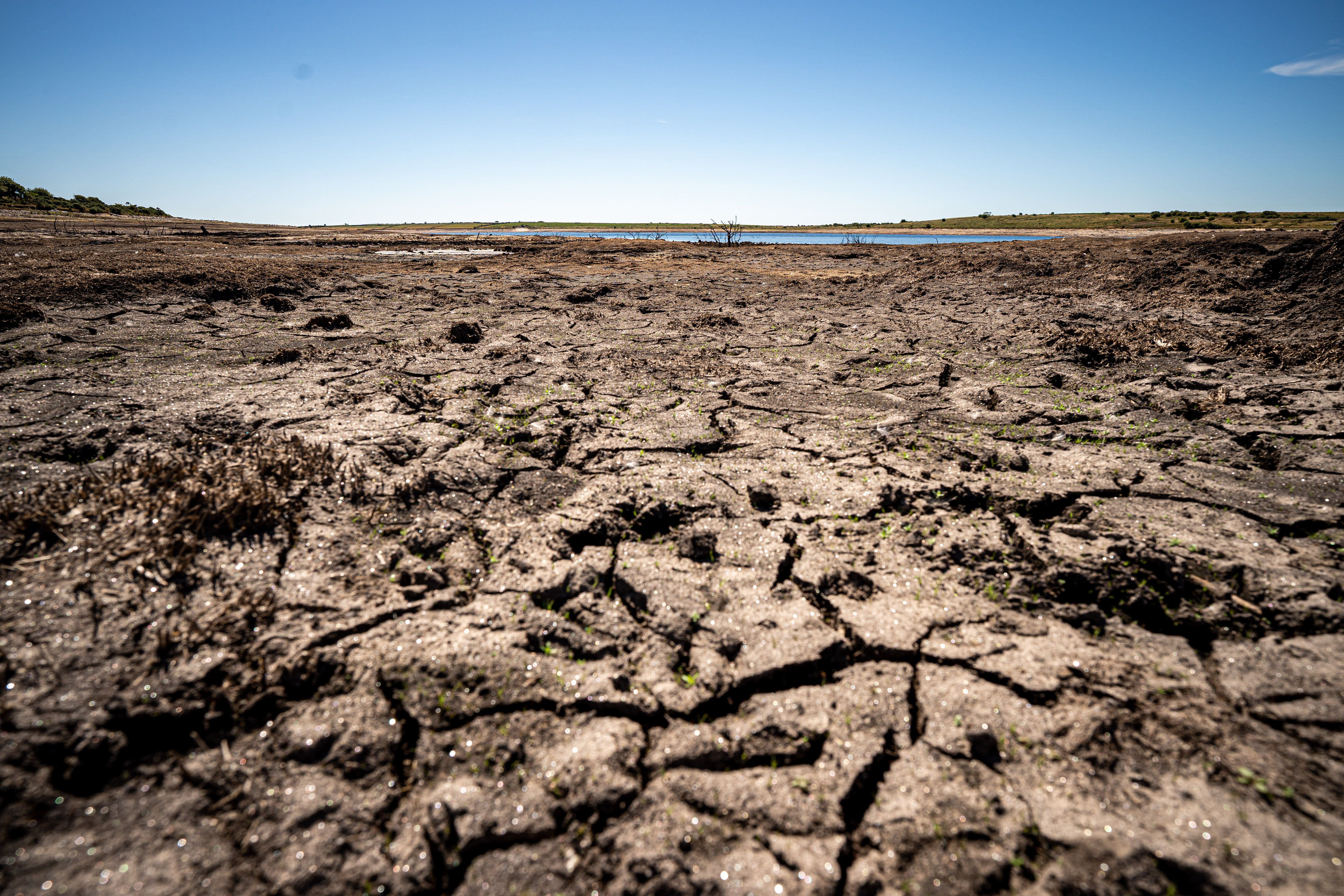 Colliford Lake, where water levels severely dropped this year, exposing the unseen trees and rocks at Cornwall’s largest lake and reservoir in August (Ben Birchall/PA)