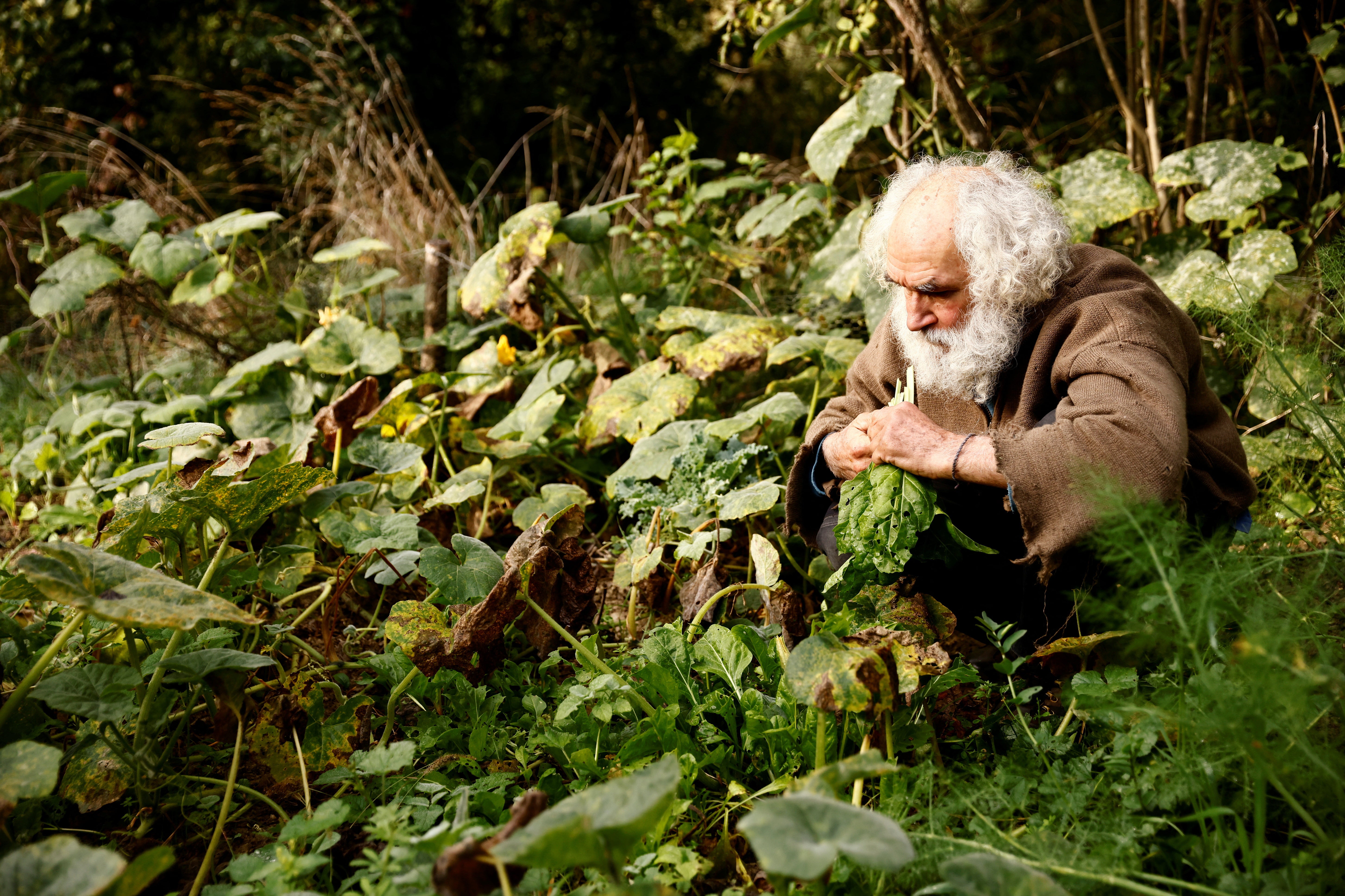 Working in the vegetable garden outside his house