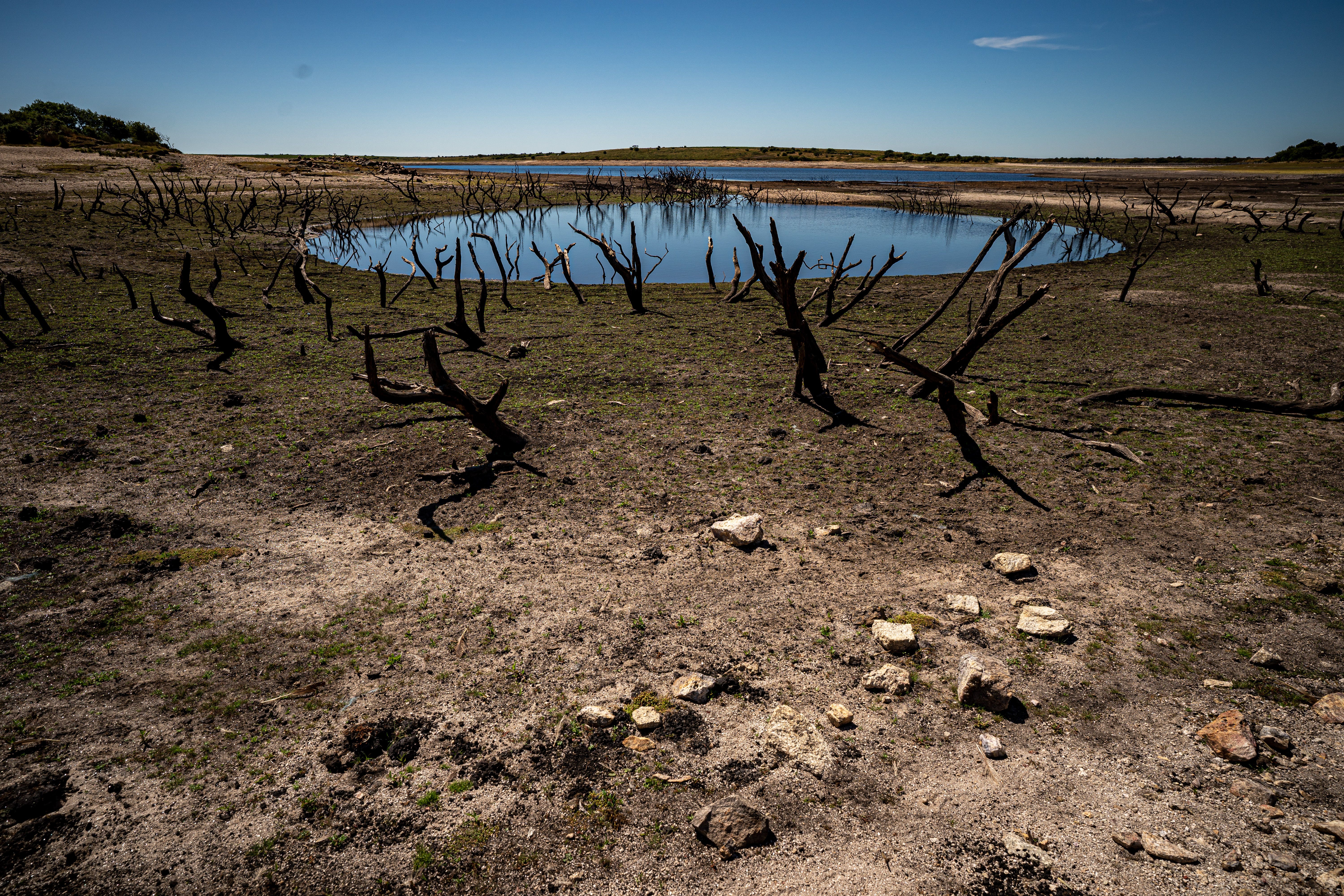 The average temperature for 2022 is on track to beat the previous all-time high of 9.88C set in 2014, and the exact figure will be confirmed in the new year.