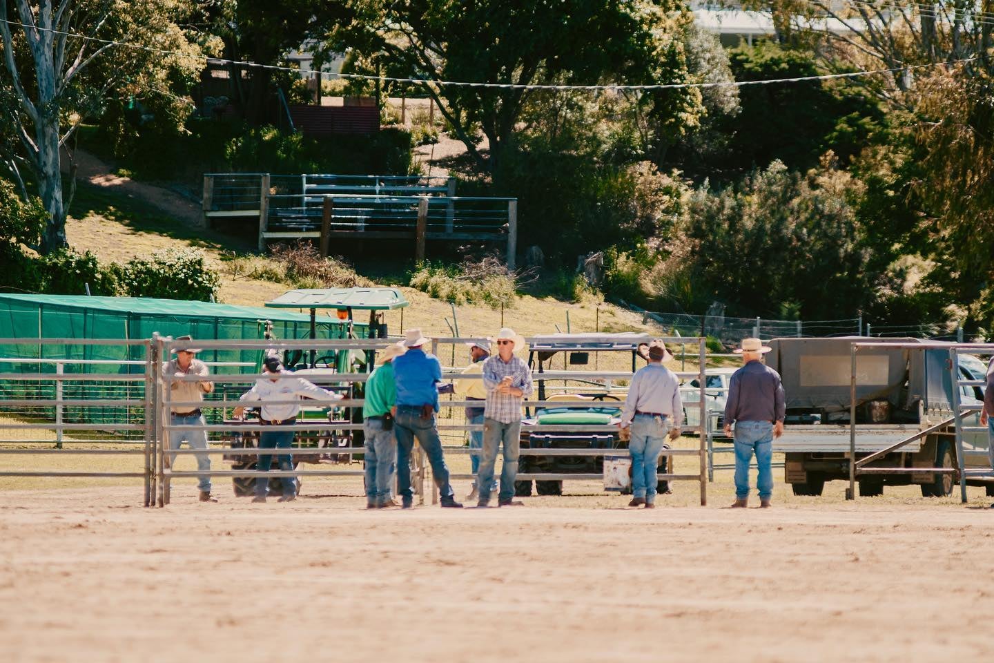 25-year-old man dies after being hit by bull at New Year’s Eve rodeo
