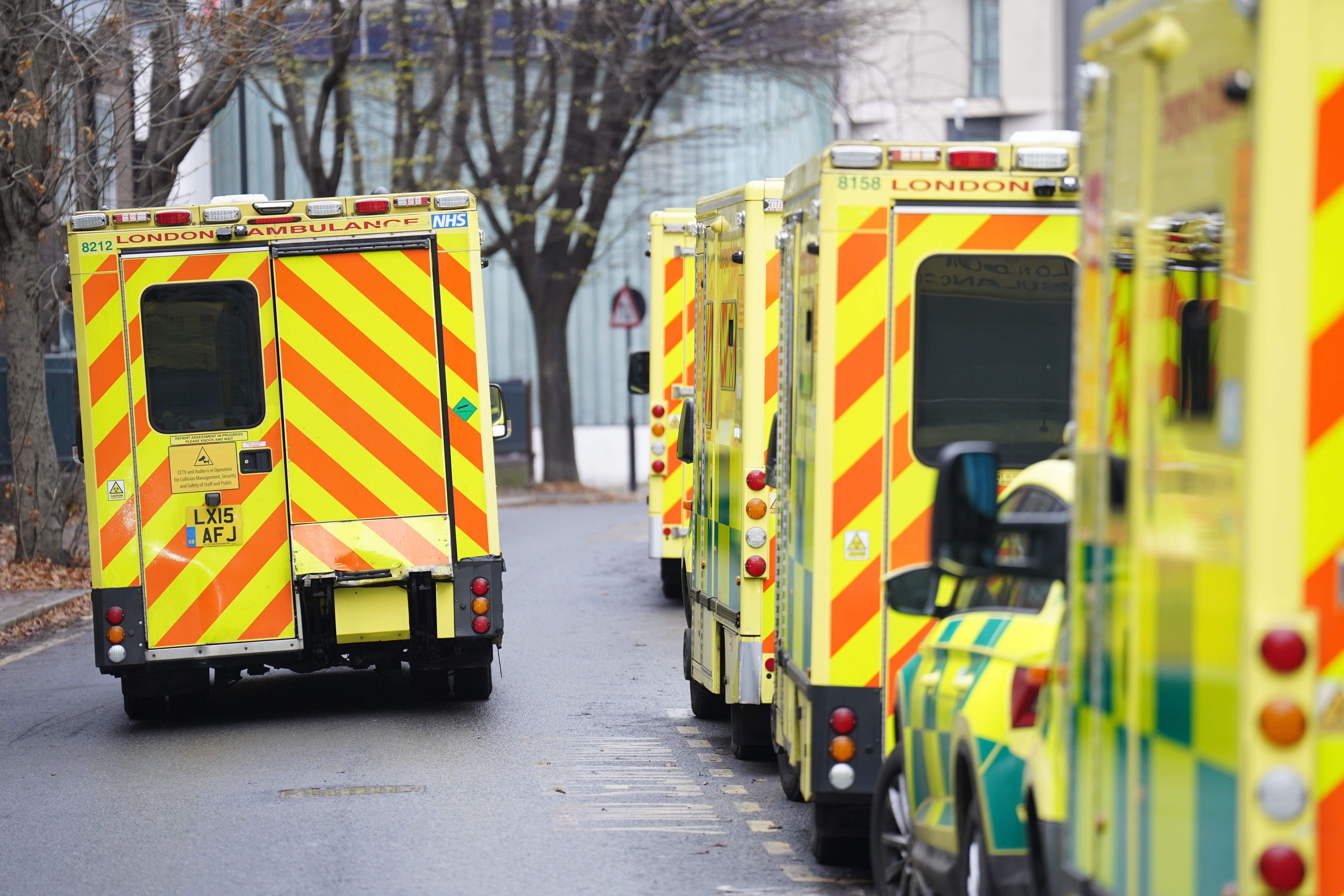 A leading health chief has urged the Government to reopen talks with unions over pay, saying the ‘last thing’ the NHS needs is four days of strikes in January (James Manning/PA)