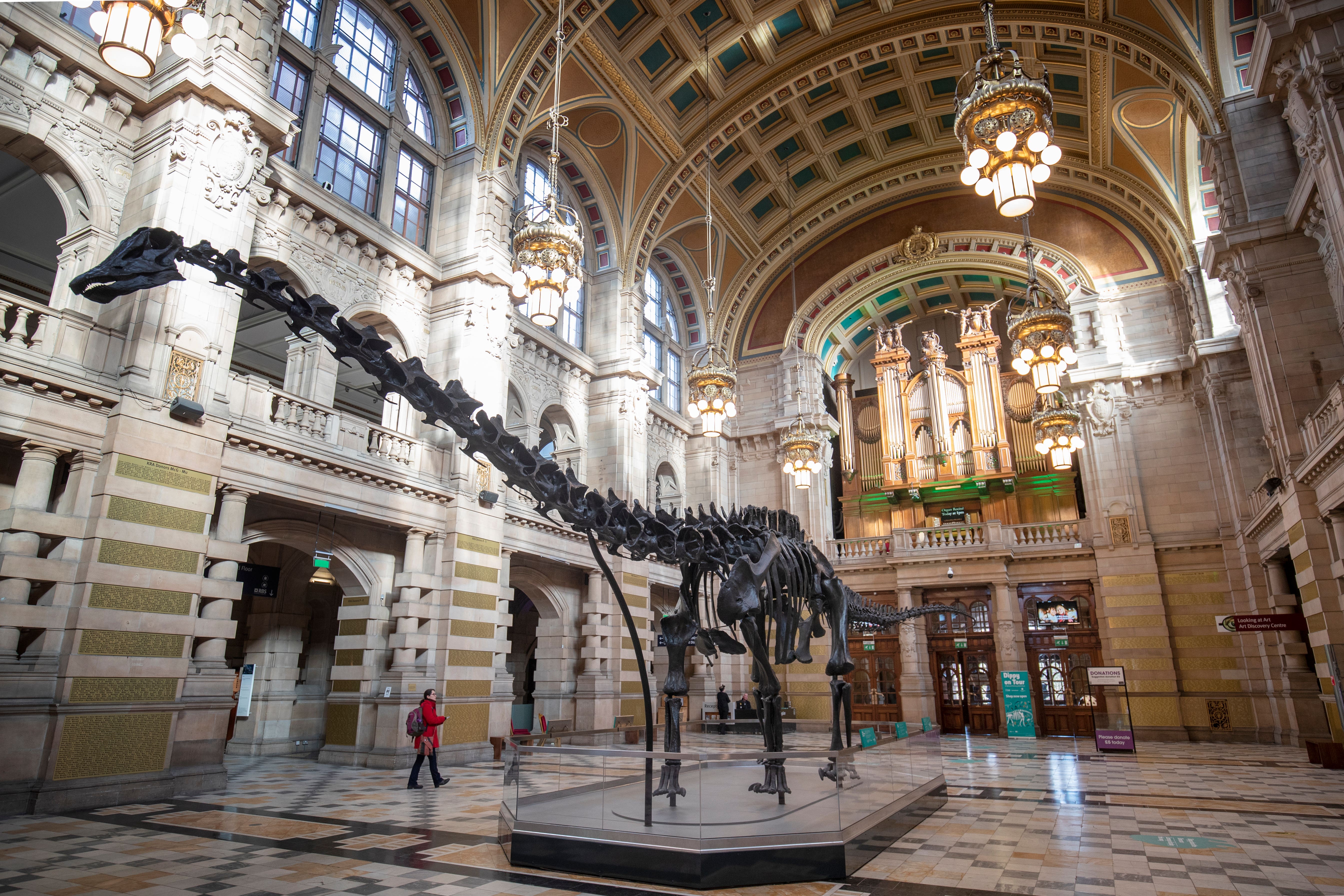 Dippy the Diplodocus (Jane Barlow/PA)