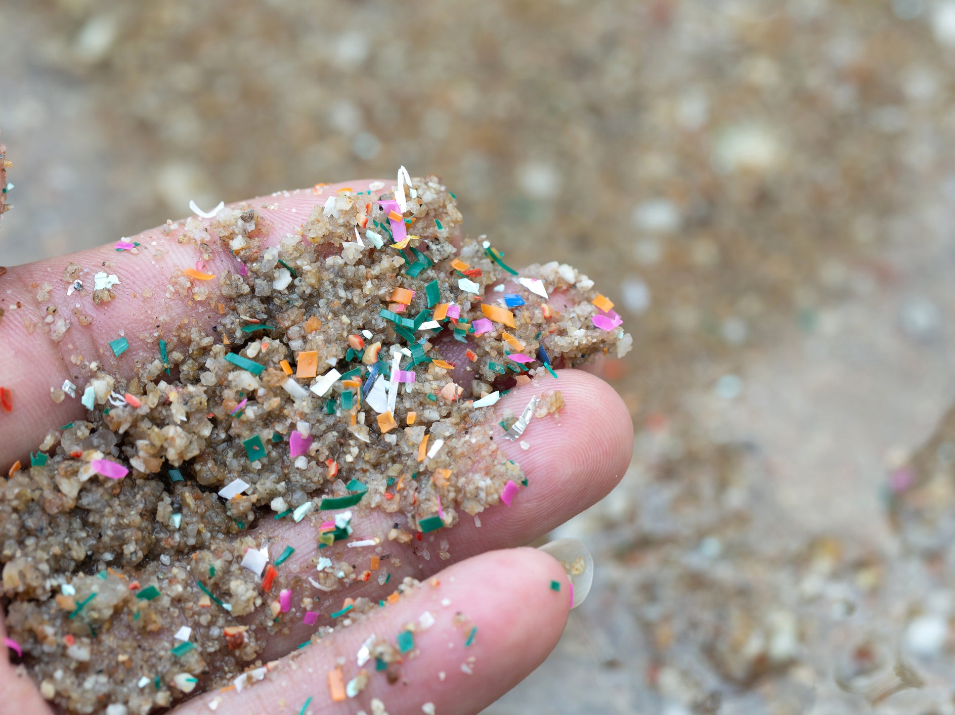 Close-up side shot of hands shows microplastic waste contaminated with the seaside sand