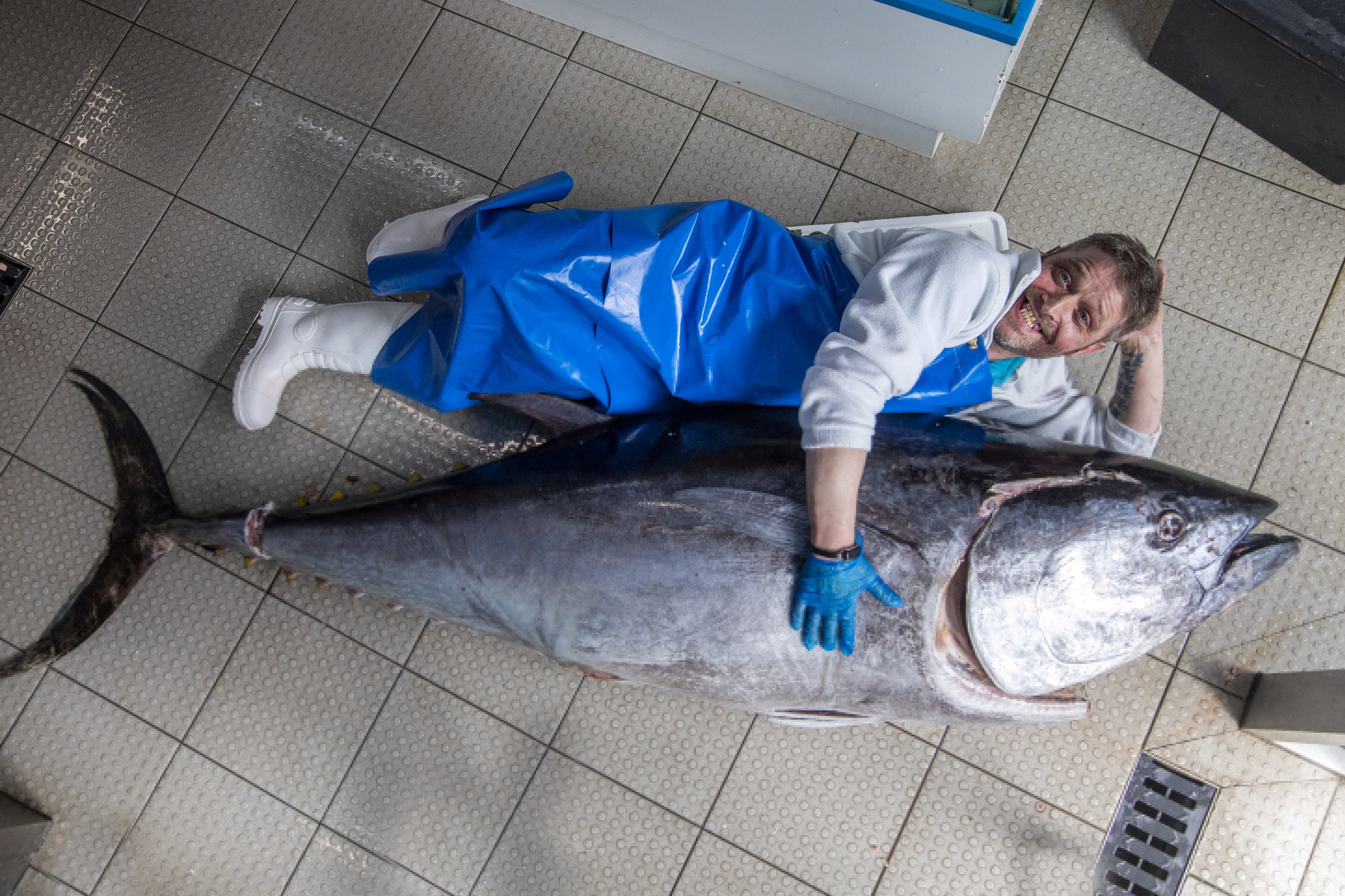 Willian Elliot from Eddie’s Seafood Market in Edinburgh with a giant seven-foot bluefin tuna weighing in at 150kg