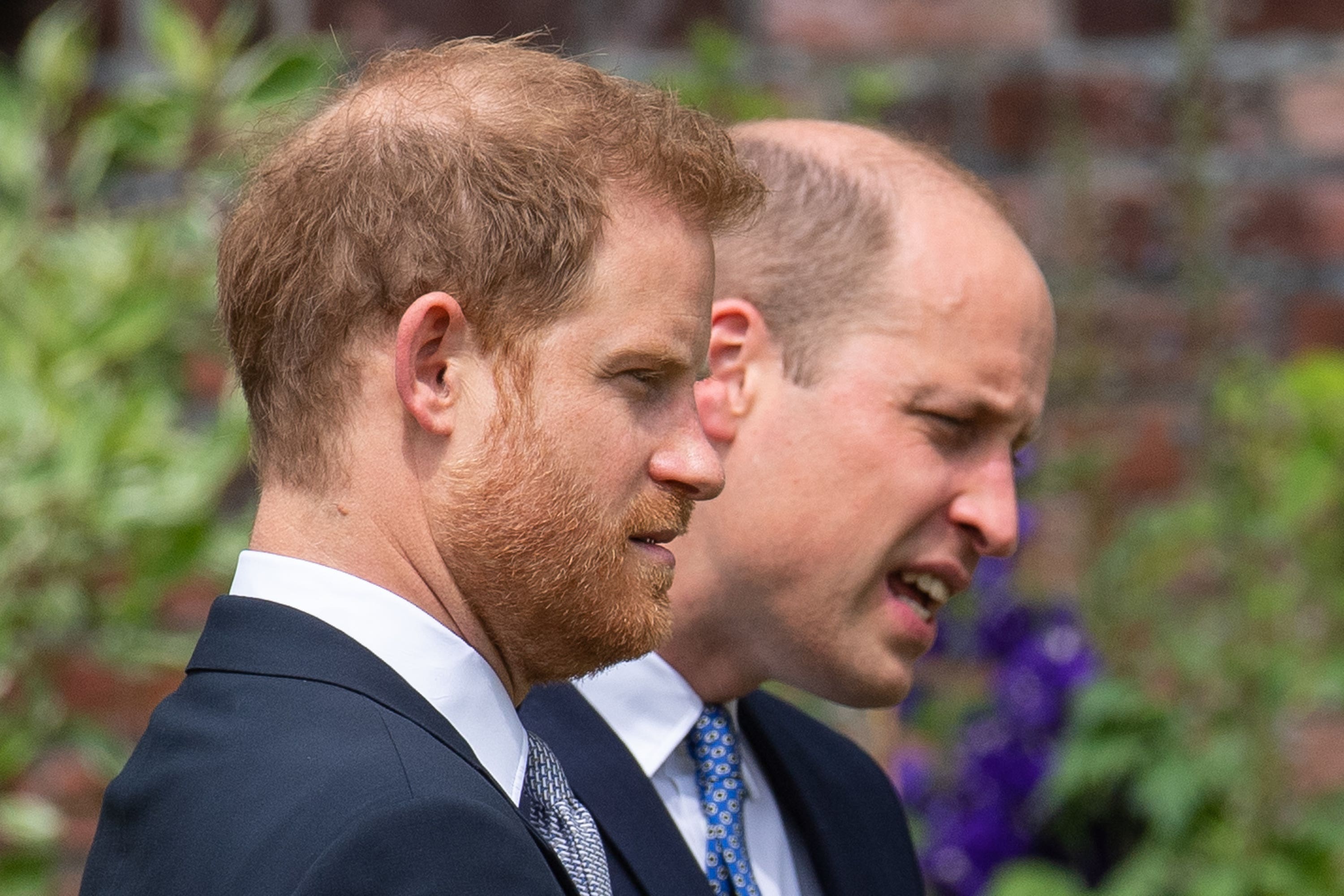 Harry and William (Dominic Lipinski/PA)