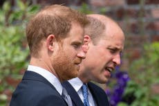 Harry calls William ‘arch nemesis’ and claims prince physically attacked him