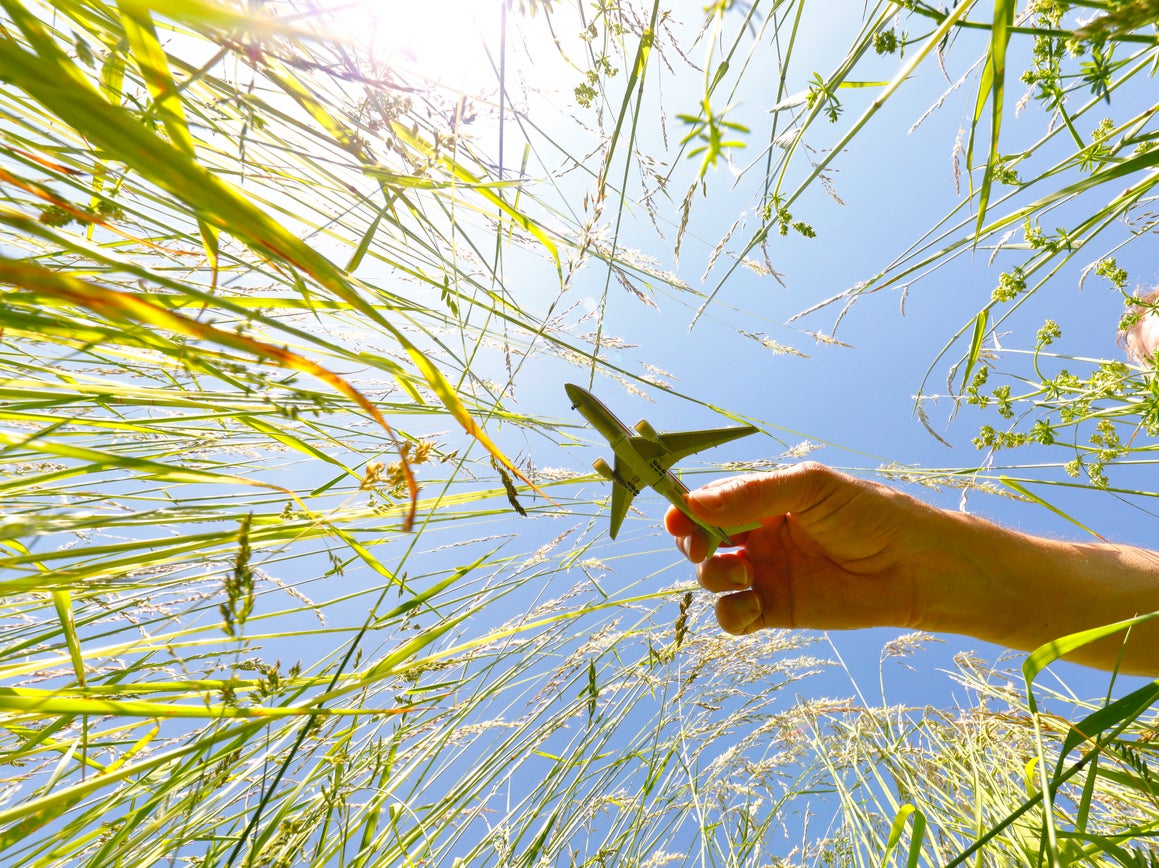 Flight-free travel helps you spread your wings in other ways