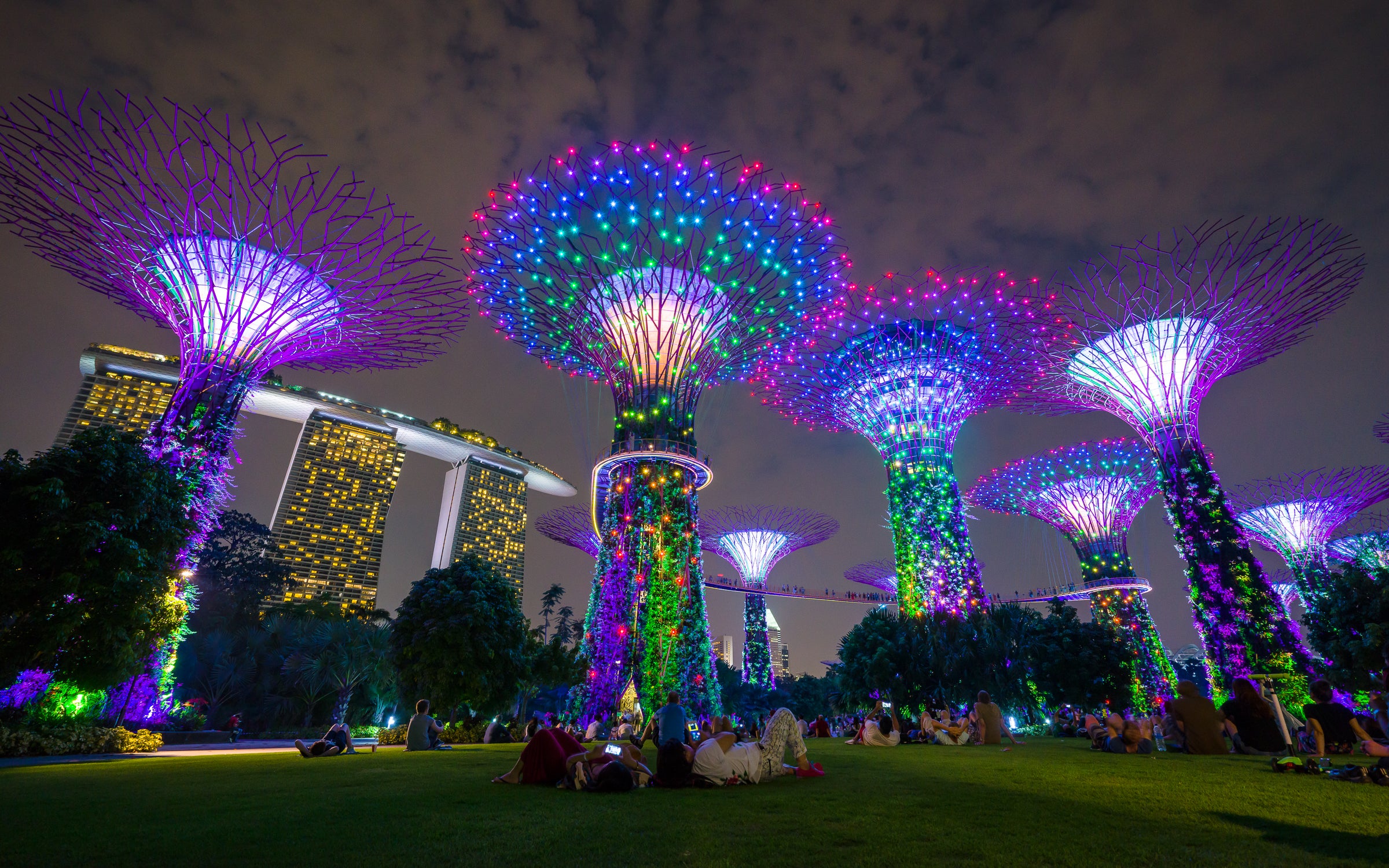 Head to Supertree Grove in Cloud Forest to enjoy a dramatic sound and light performance