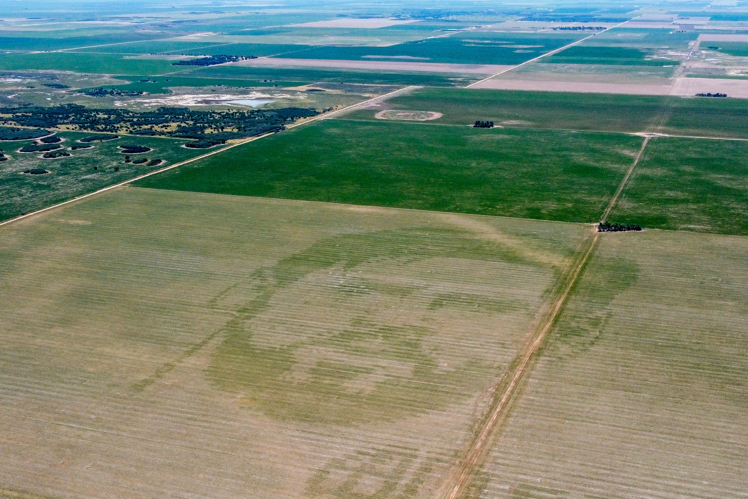 A cornfield featuring an image of soccer player Lionel Messi in Cordoba, Argentina