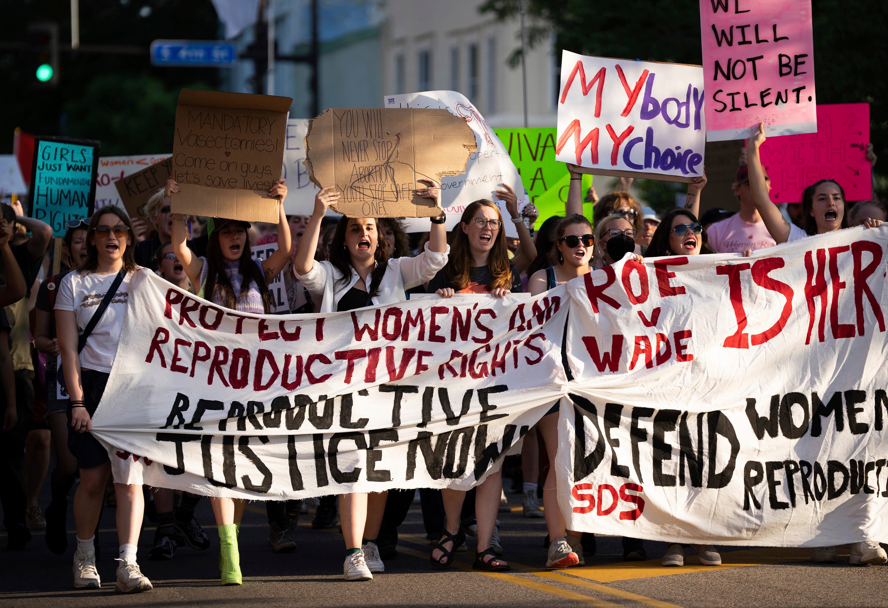 Minnesota Legislature Abortion