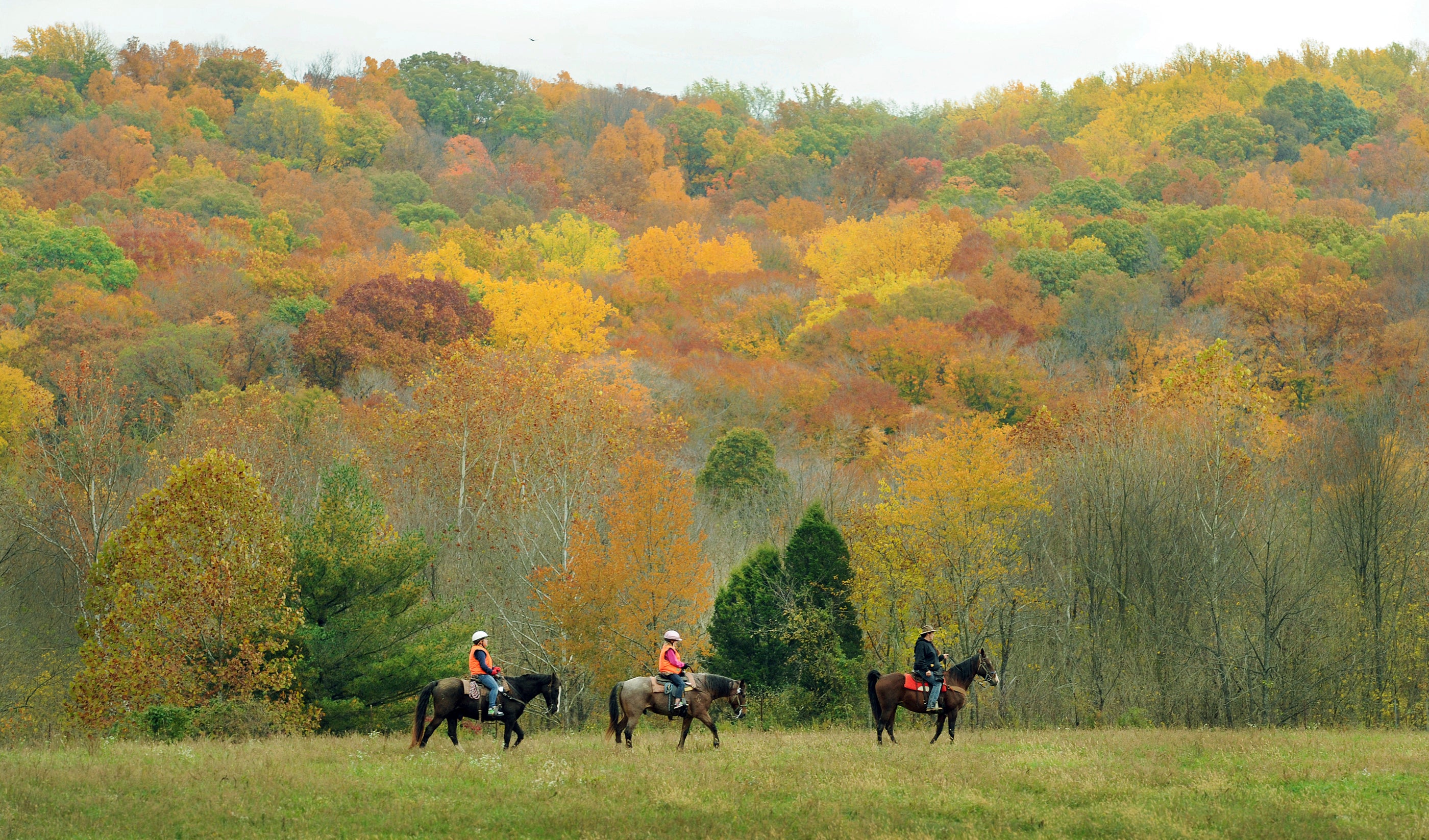 Hoosier National Forest