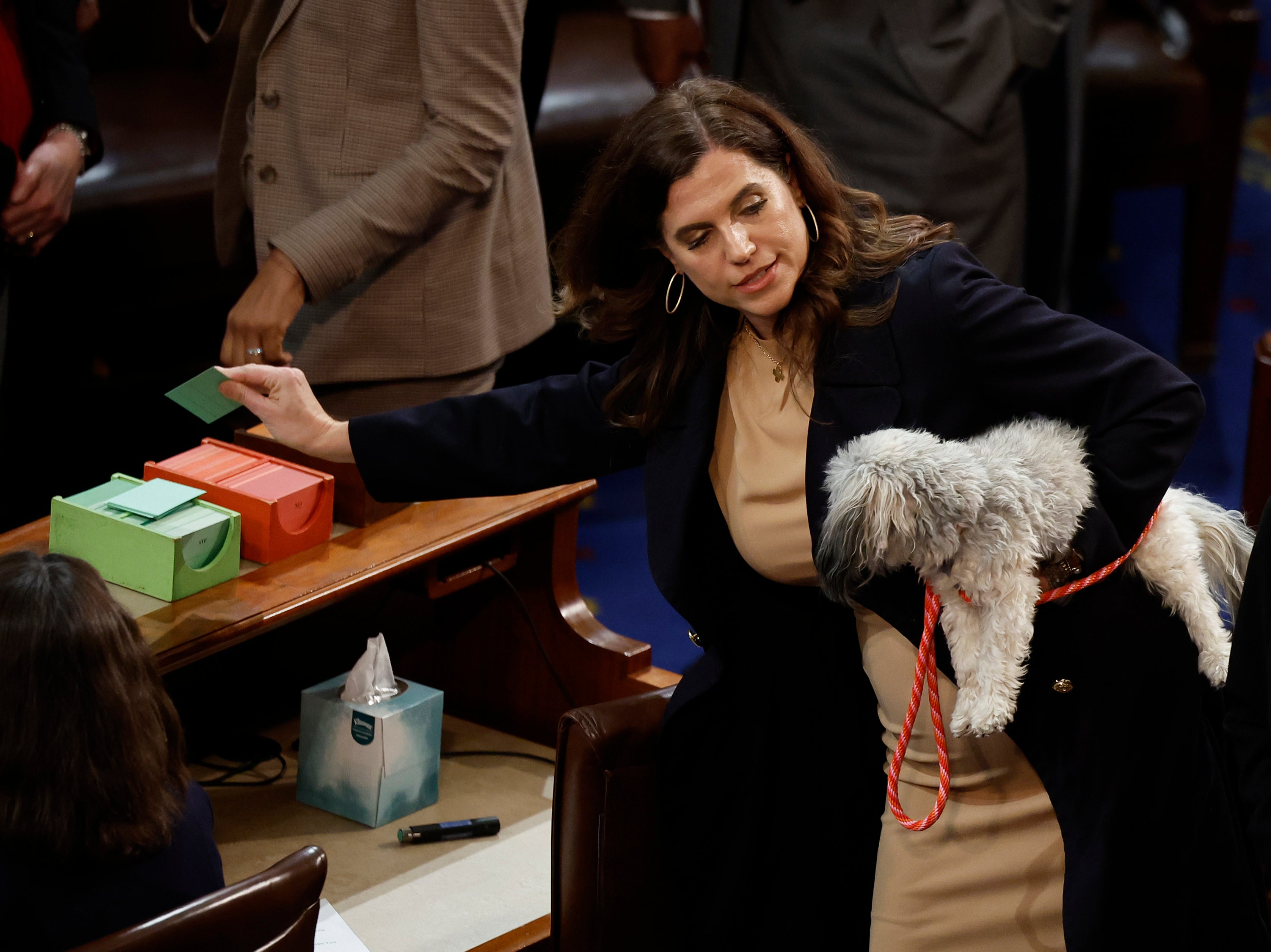 Nancy Mace holds her dog Libby as she casts her vote to adjourn in the House Chamber during the third day of elections for Speaker of the House at the US Capitol Building on 5 January 2023 in Washington, DC