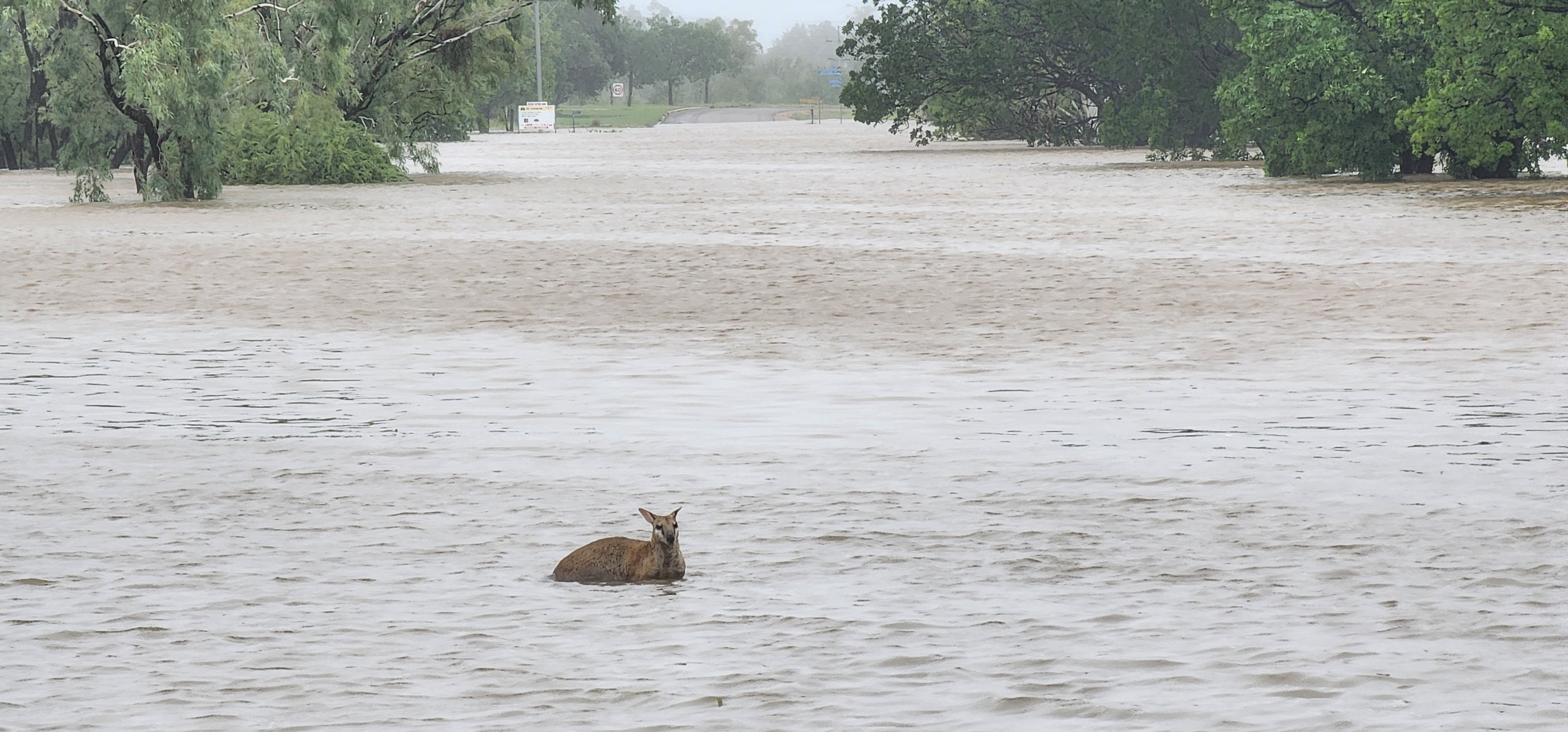 Hundreds airlifted to safety by military helicopters as northwest Australia sees ‘once in a century’ floods