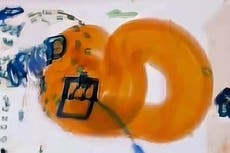 Woman claims boa constrictor in luggage is ‘emotional support snake’