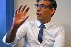Major donors call on Rishi Sunak to reform political funding system