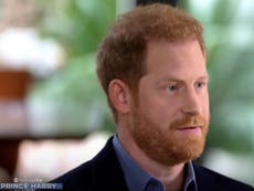 Prince Harry praises Dutch and Norwegian royal families for standing against racism: ‘It is huge’