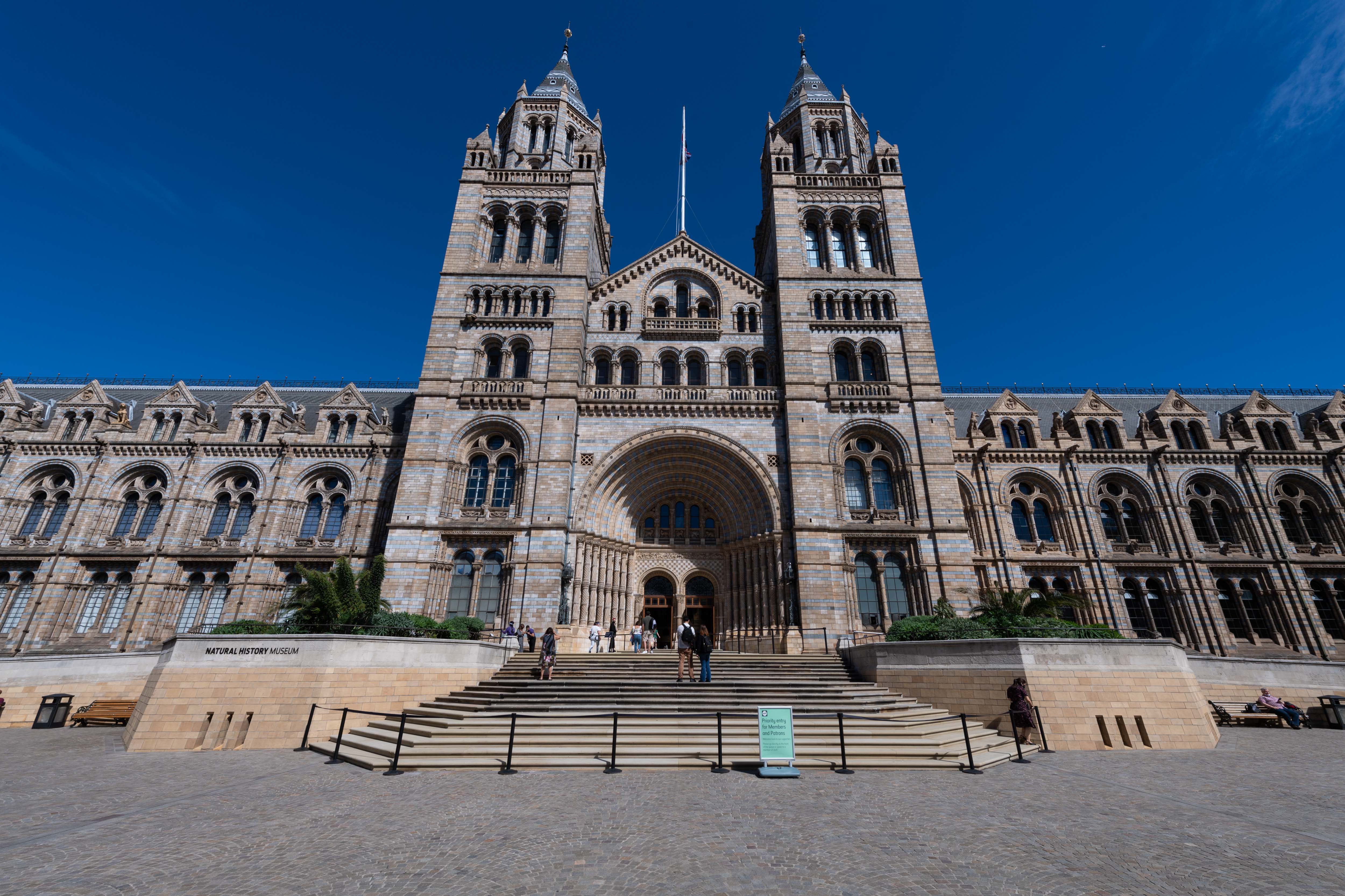 The mammal has been sent to the Natural History Museum for examination