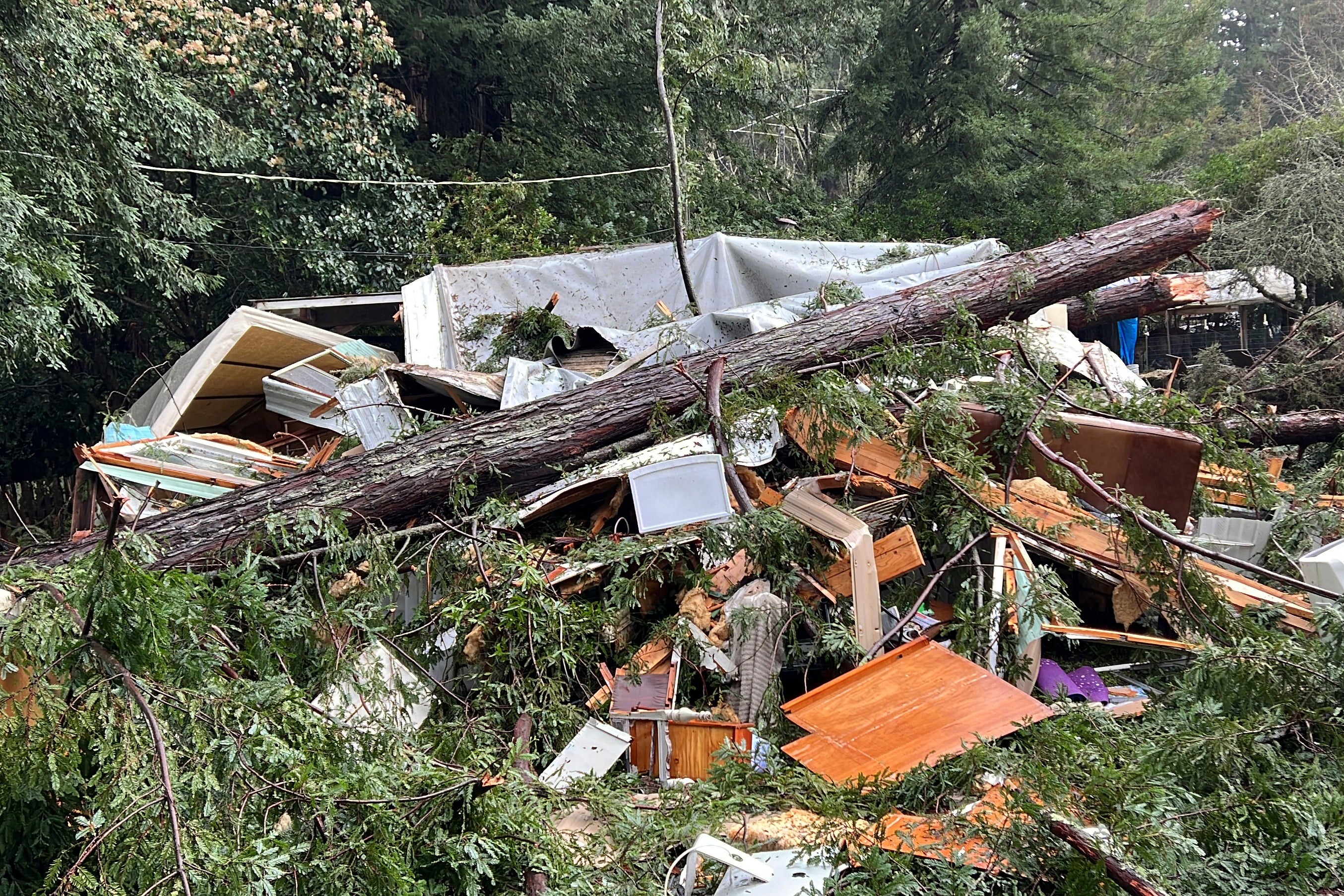 Downed trees and power lines are a common site across California, following historic storms