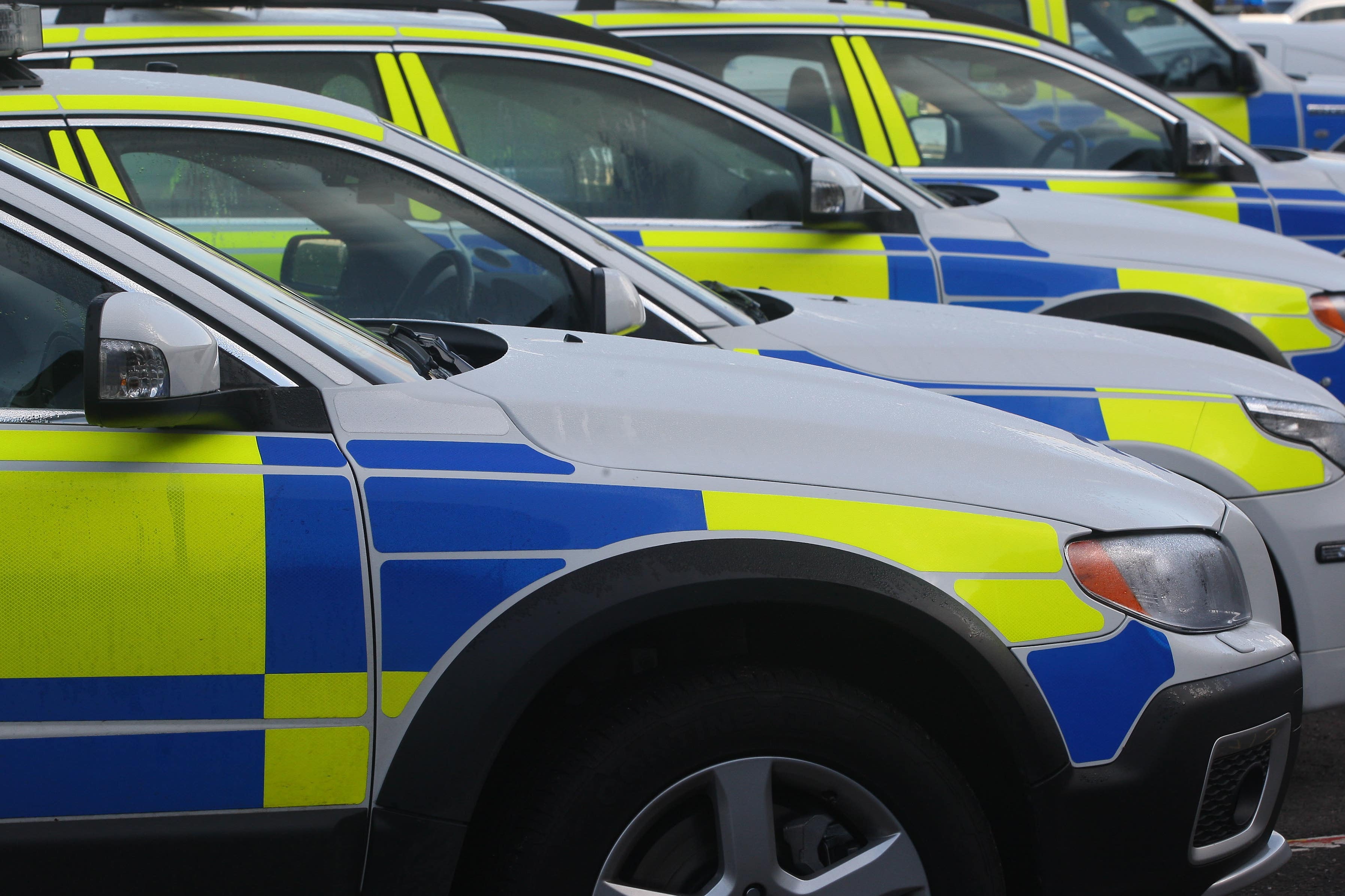 One officer was given a final written warning. Pictured is a generic image of police cars (David Cheskin/PA)