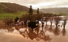 I’ve had terrifying near misses in the California storms - not everyone is as lucky