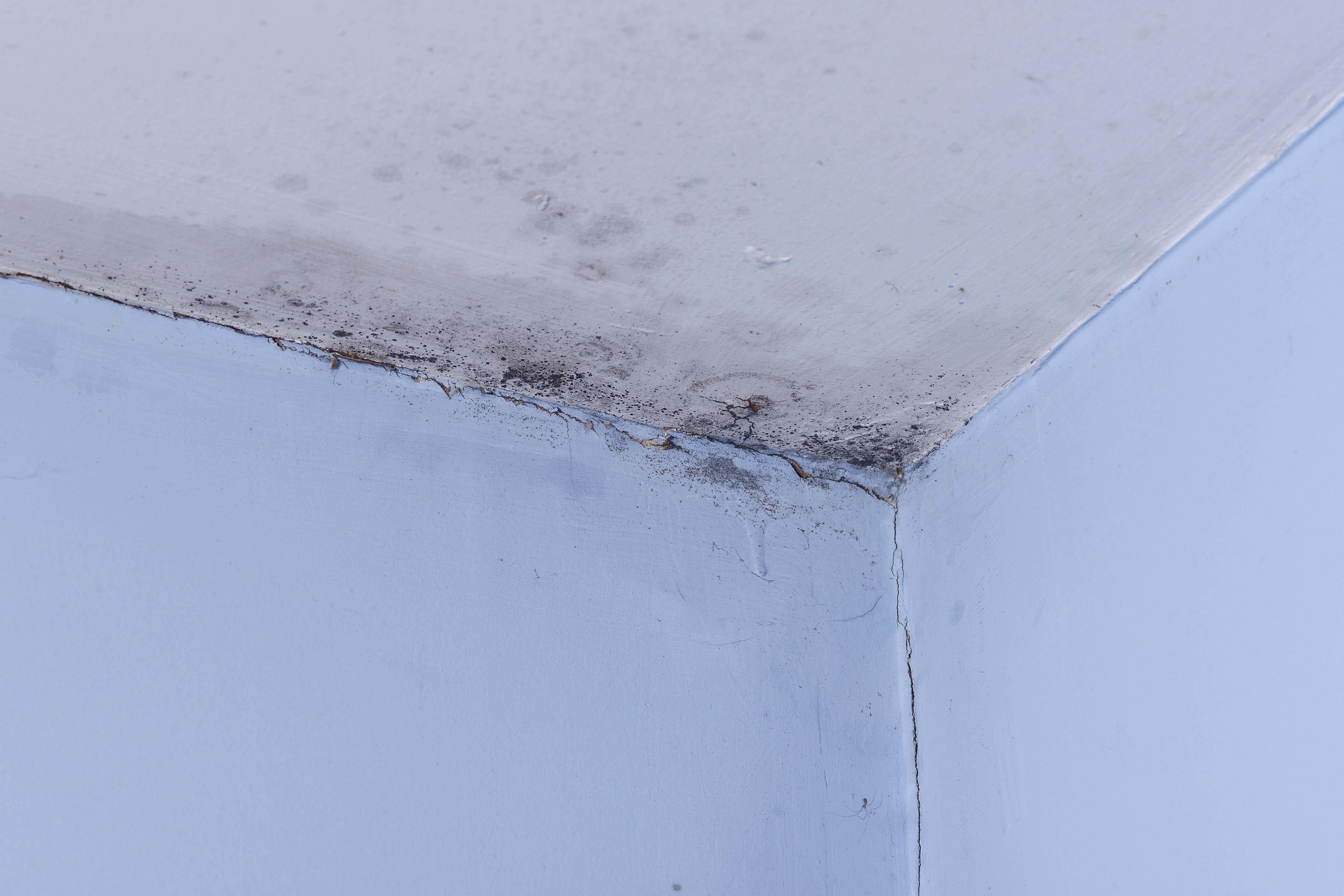 Black mould on the walls and ceiling of a room