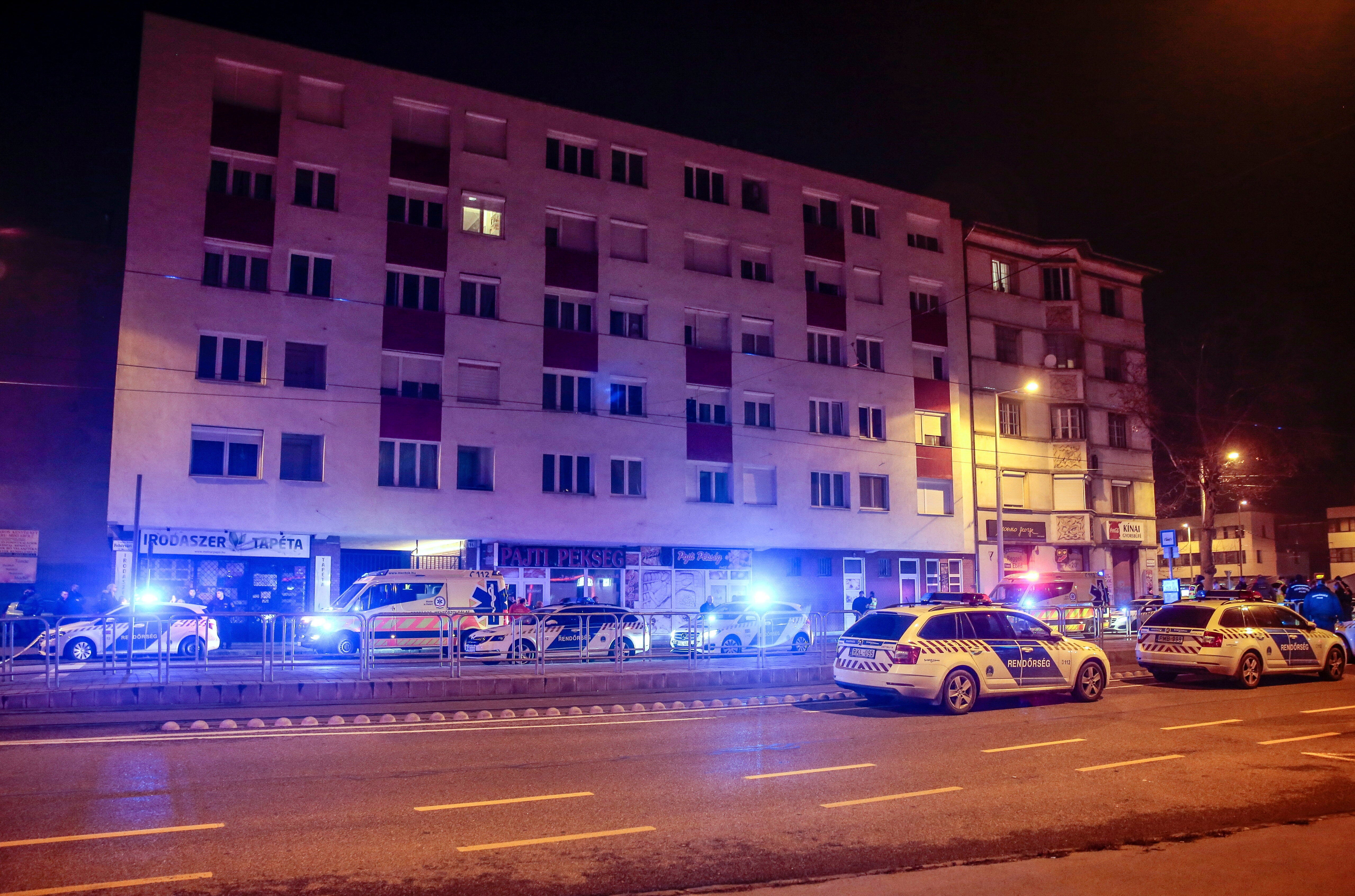 Hungary Police Stabbing