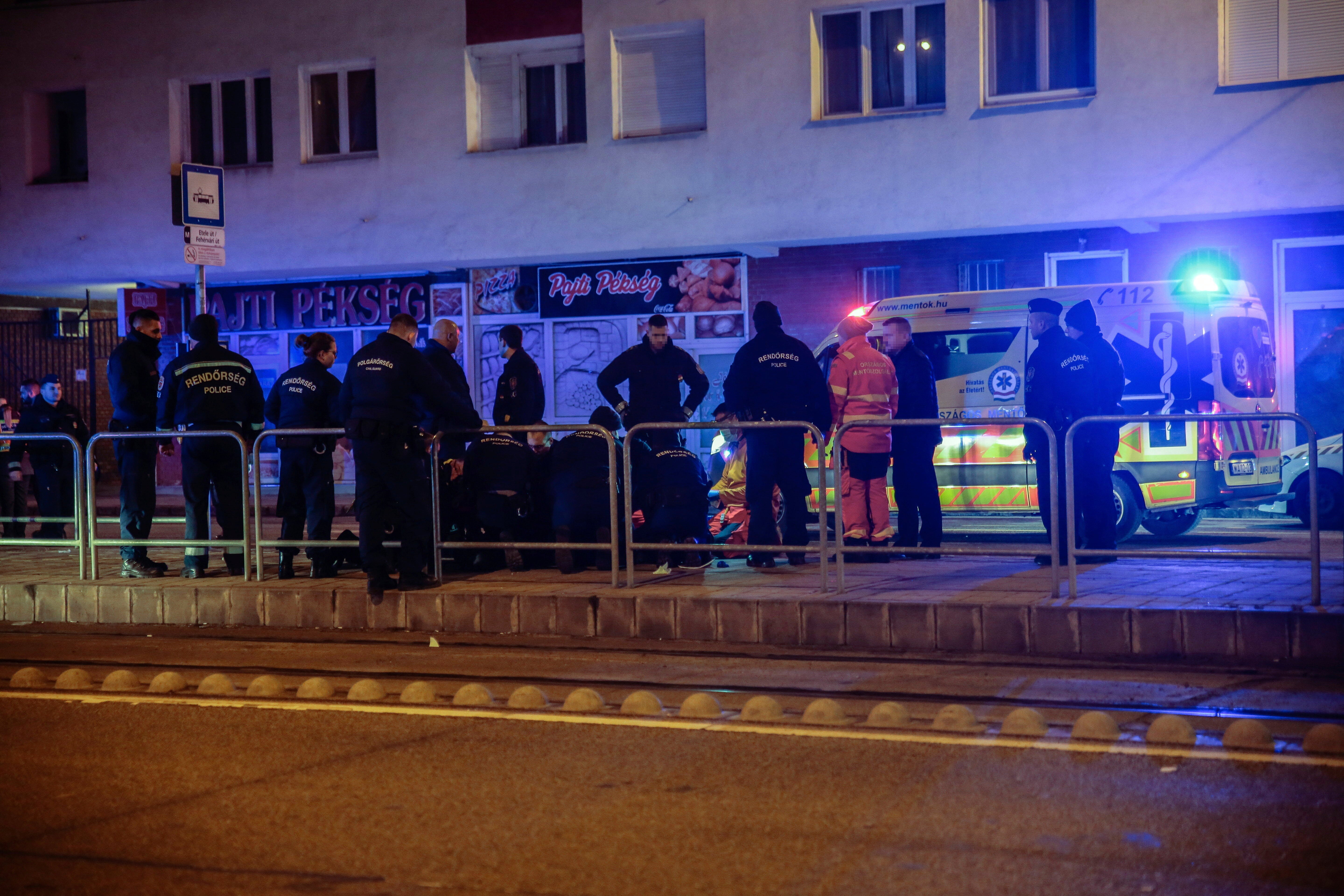 Hungary Police Stabbing