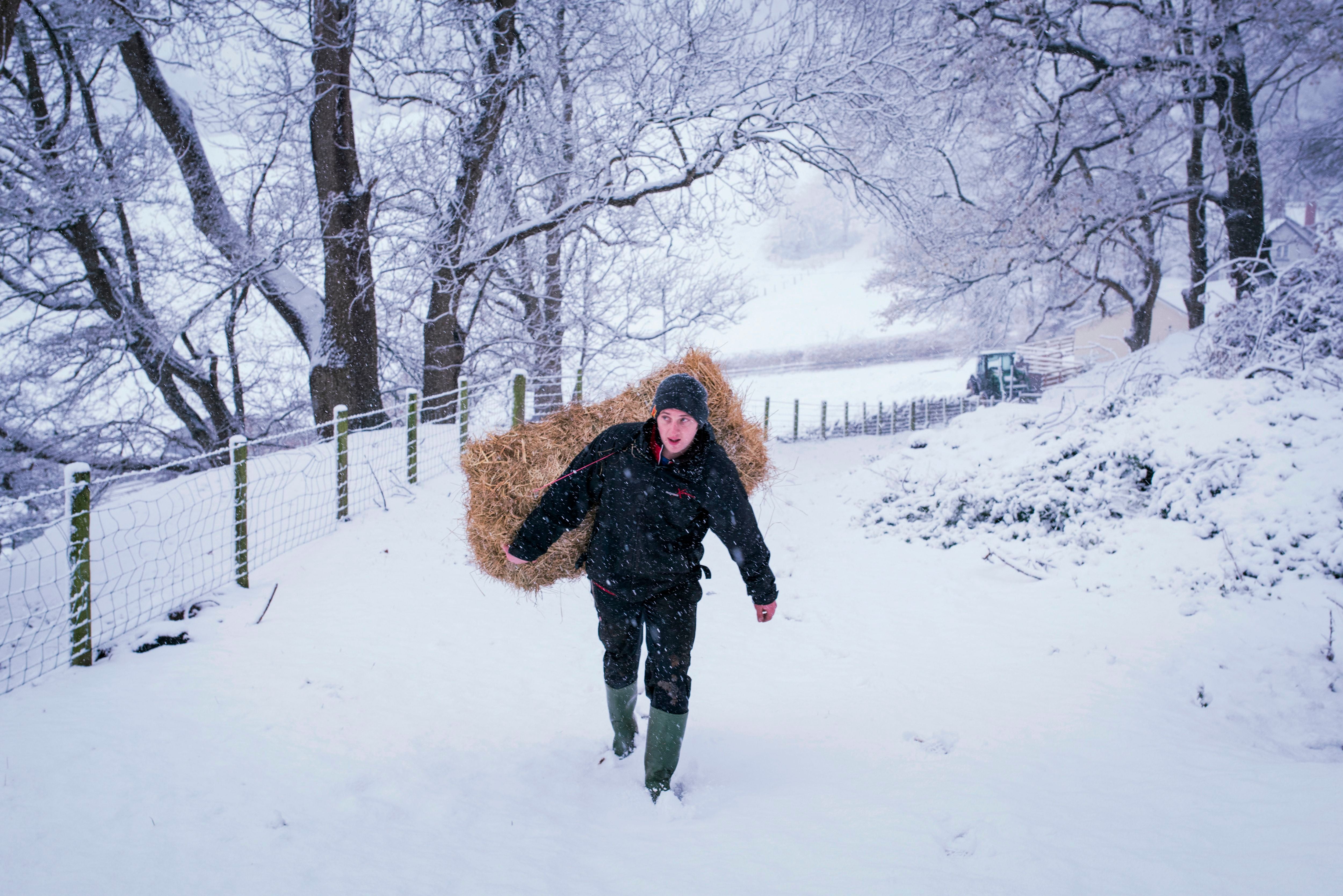 Weather warnings are in place until Thursday