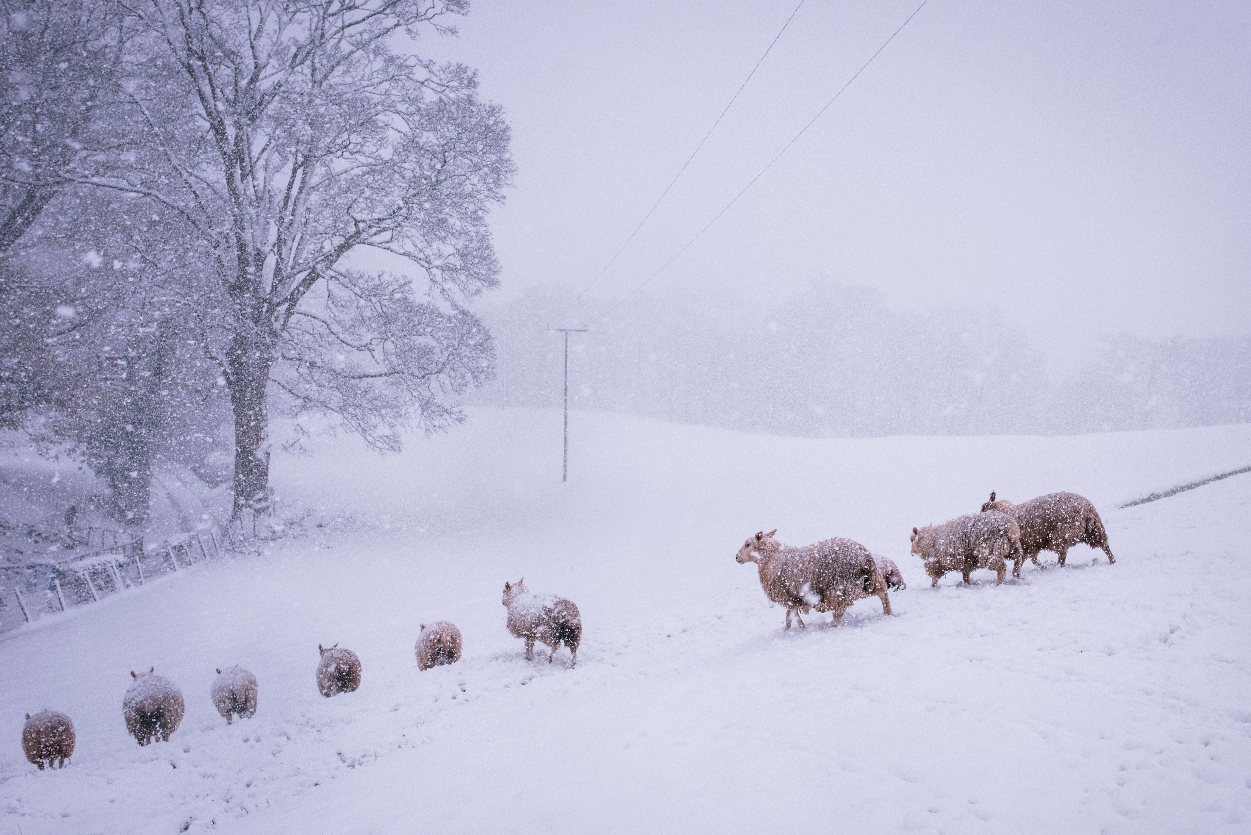 Wintery weather has returned to the UK