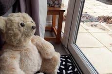 Teddy bear lovingly restored after washing up on beach in storm