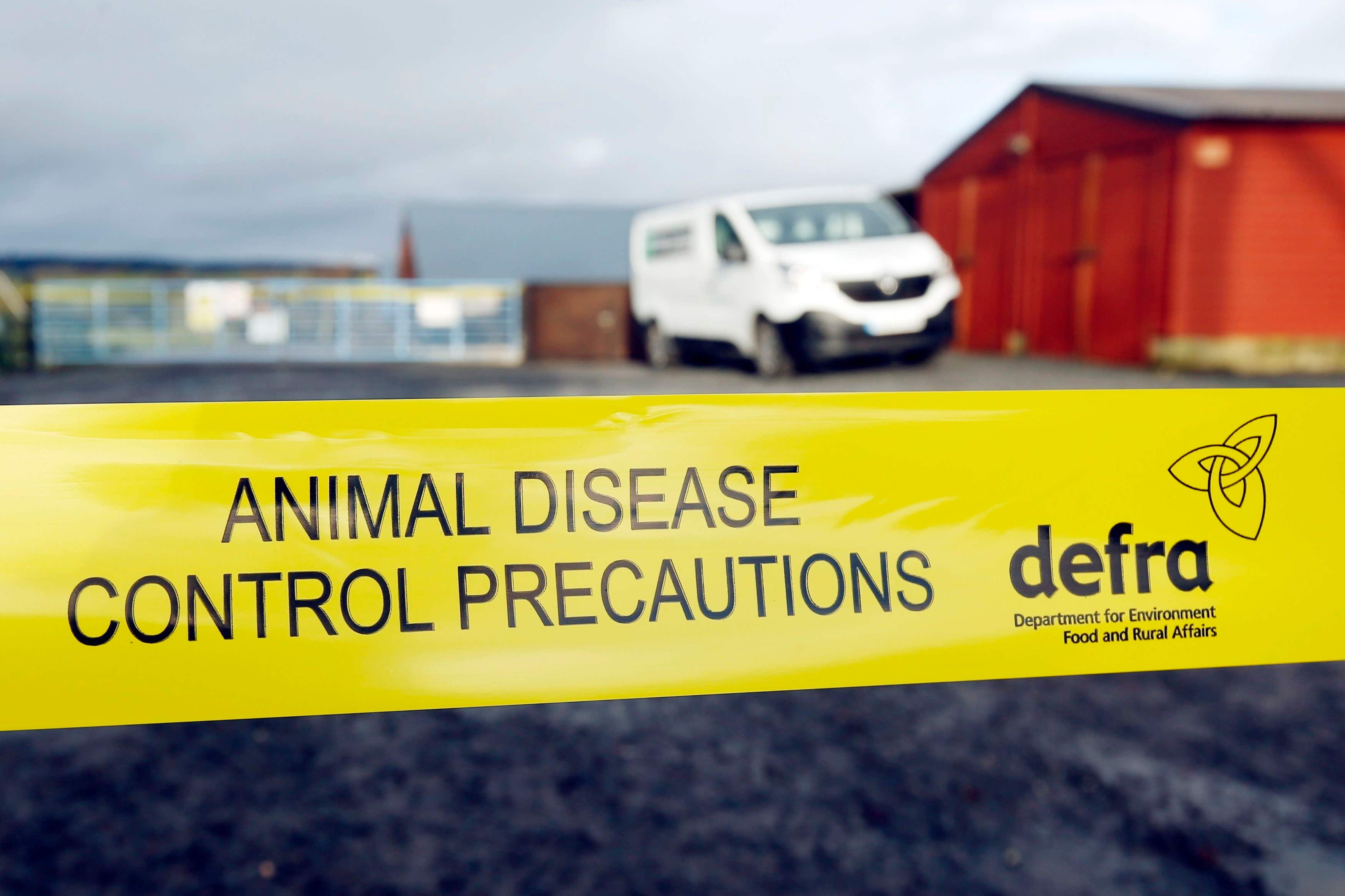 Millions of captive birds have either died of bird flu or been culled for disease control, Defra has said