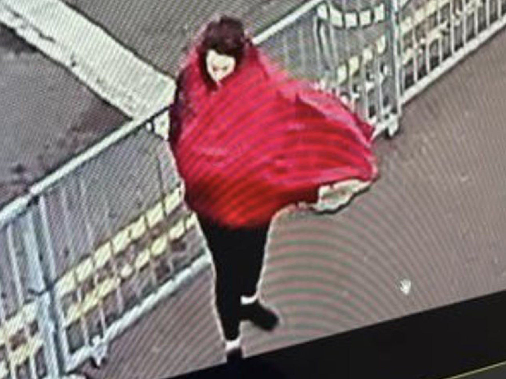 A CCTV image of Marten outside Harwich Port in Essex (PA Media)