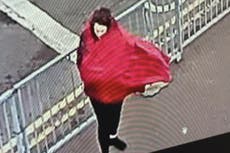 Missing aristocrat Constance Marten gave birth in back seat of car left burning on motorway