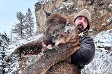 NFL star hit with backlash for hunting giant mountain lion with bow and arrow
