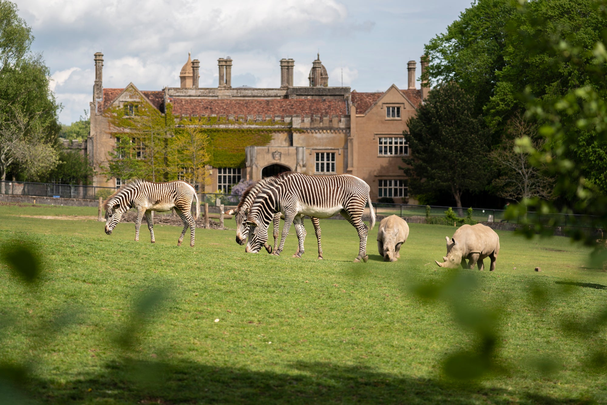 The pair had cut through the zoo’s exterior fence to gain access to the park