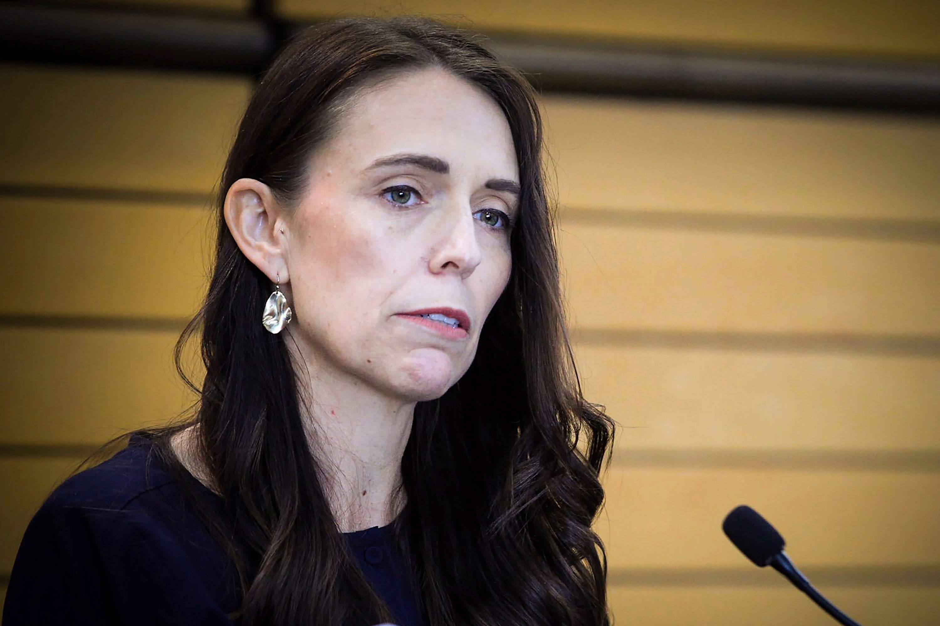 New Zealand Next Prime Minister