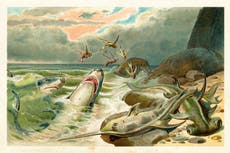 Mea Culpa: the fish-operated drones are coming for us