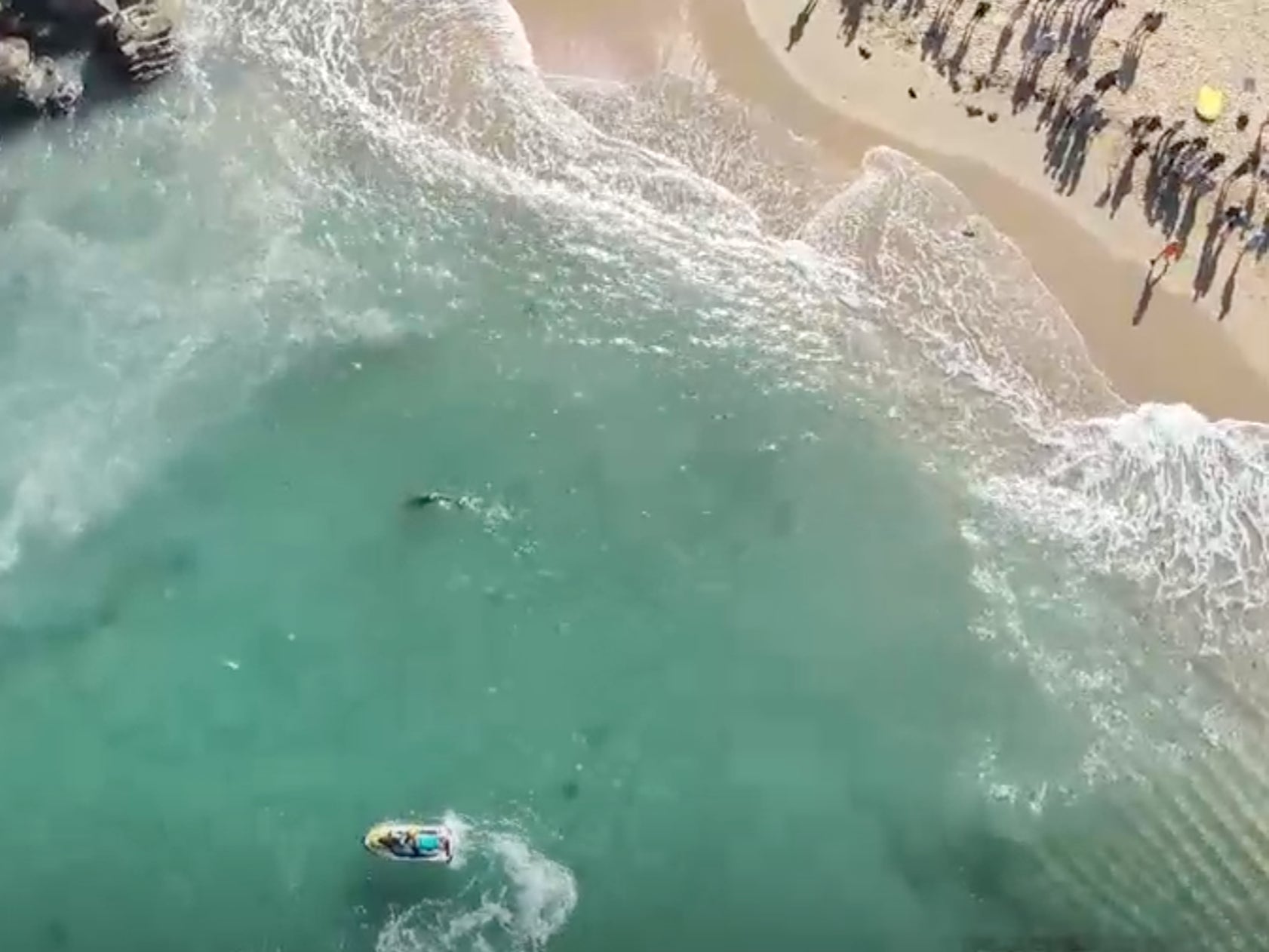 People watch from the shore as lifeguards monitor sharks on Manly Beach, famed for hosting the first official world surfing Championships in 1964