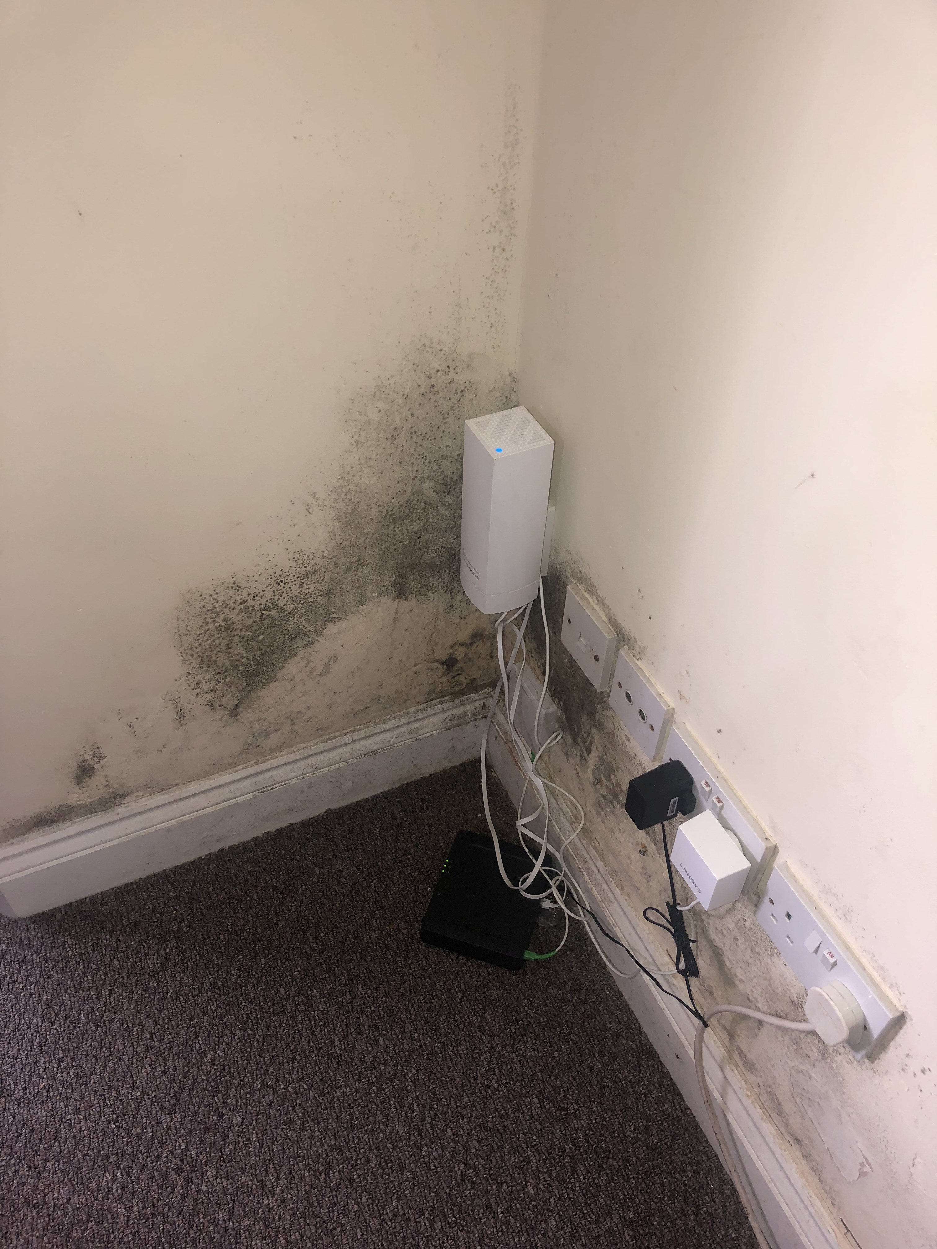 Black marks are on a number of walls inside the flat, ther mother says