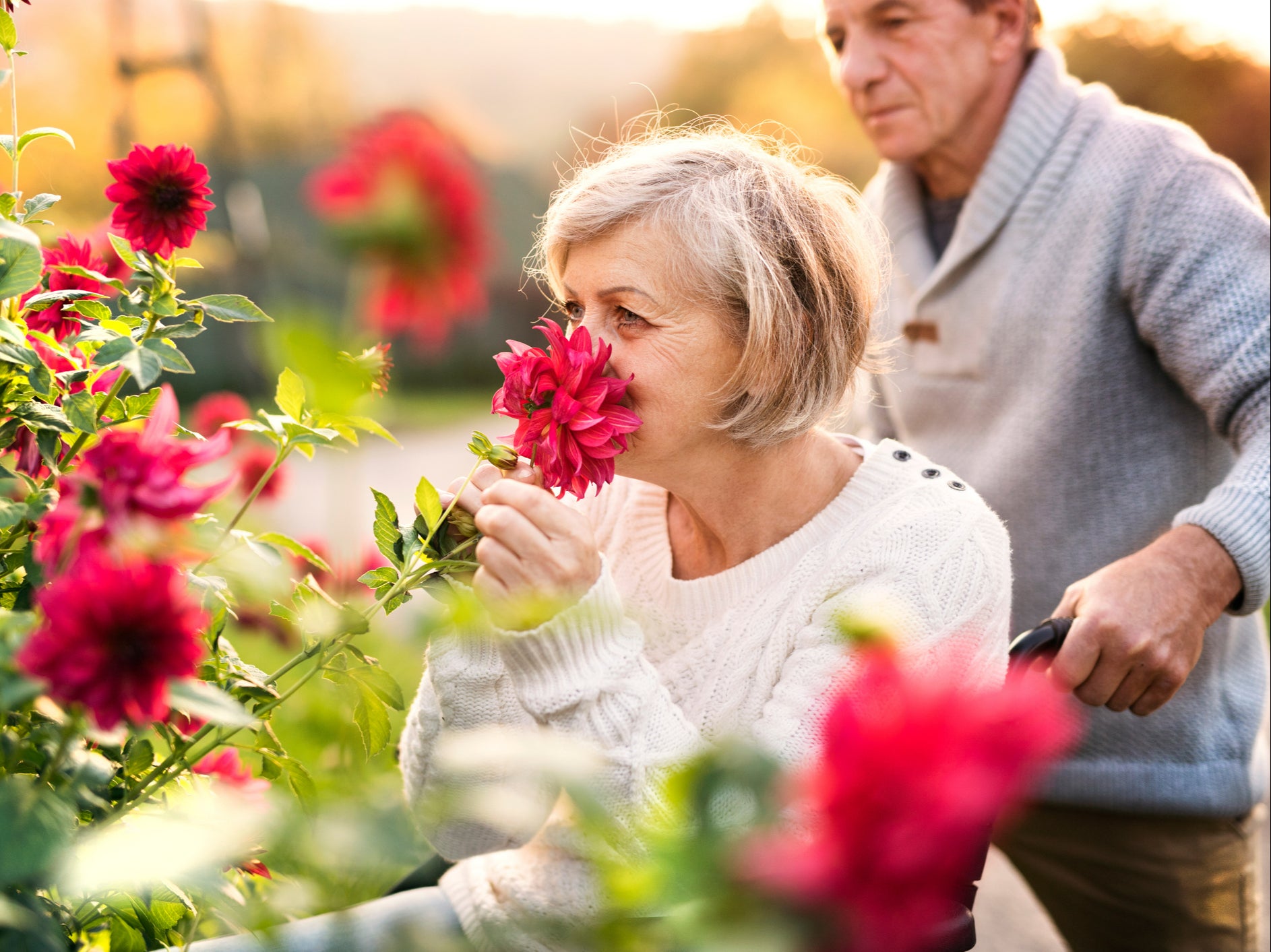 Those with worse overall physical health had a worse sense of smell, study finds