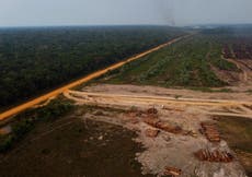 Humans have degraded more of the Amazon than previously understood, study finds