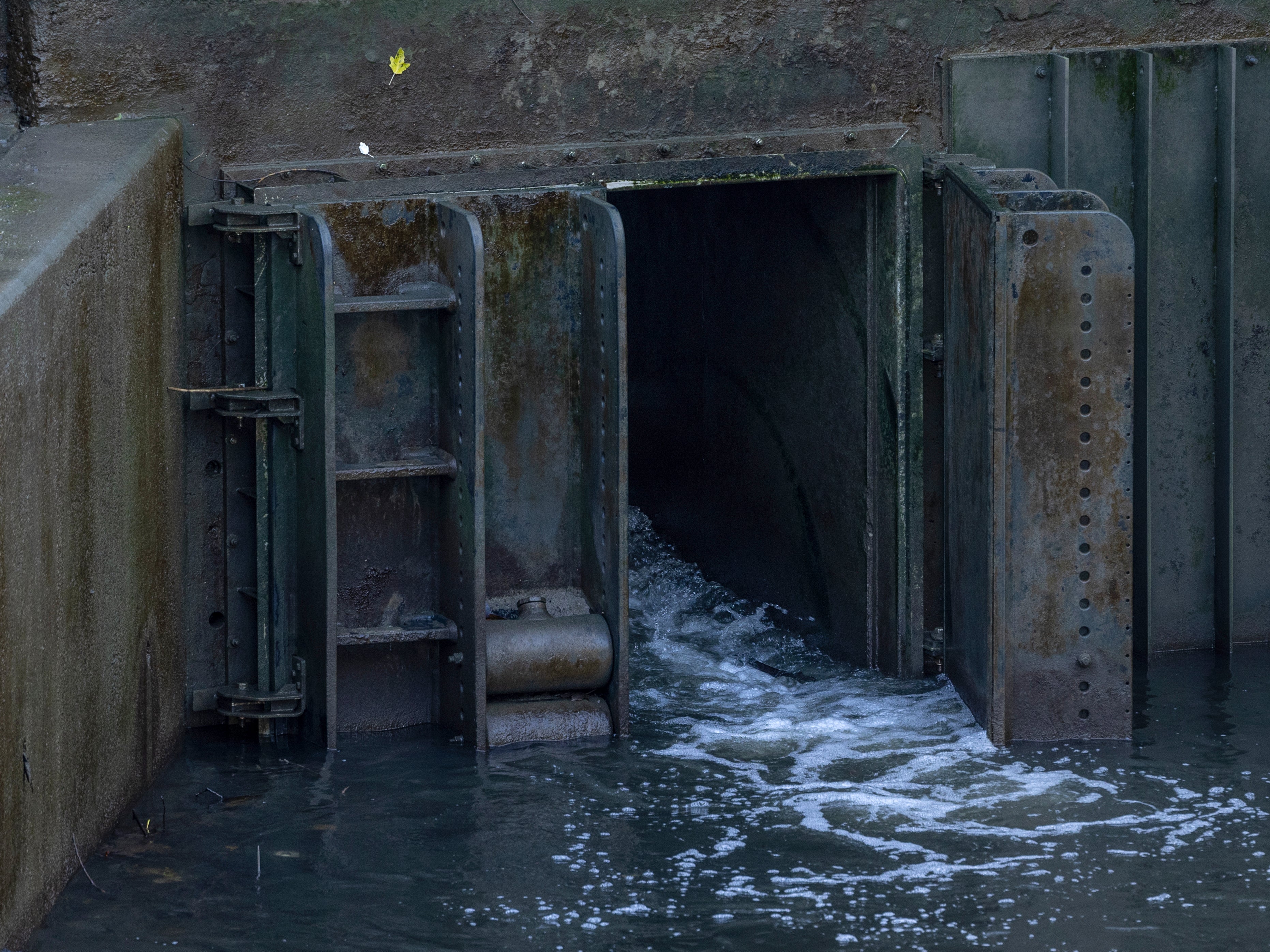 A sewage overflow outlet discharges into the River Thames in November