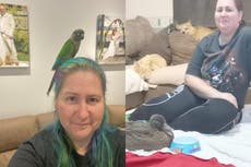 Woman claims her 31 ducks, 25 chickens, 9 quails, 4 cockerels, 3 dogs, 2 parrots, hamster and ferret have helped ease her chronic pain