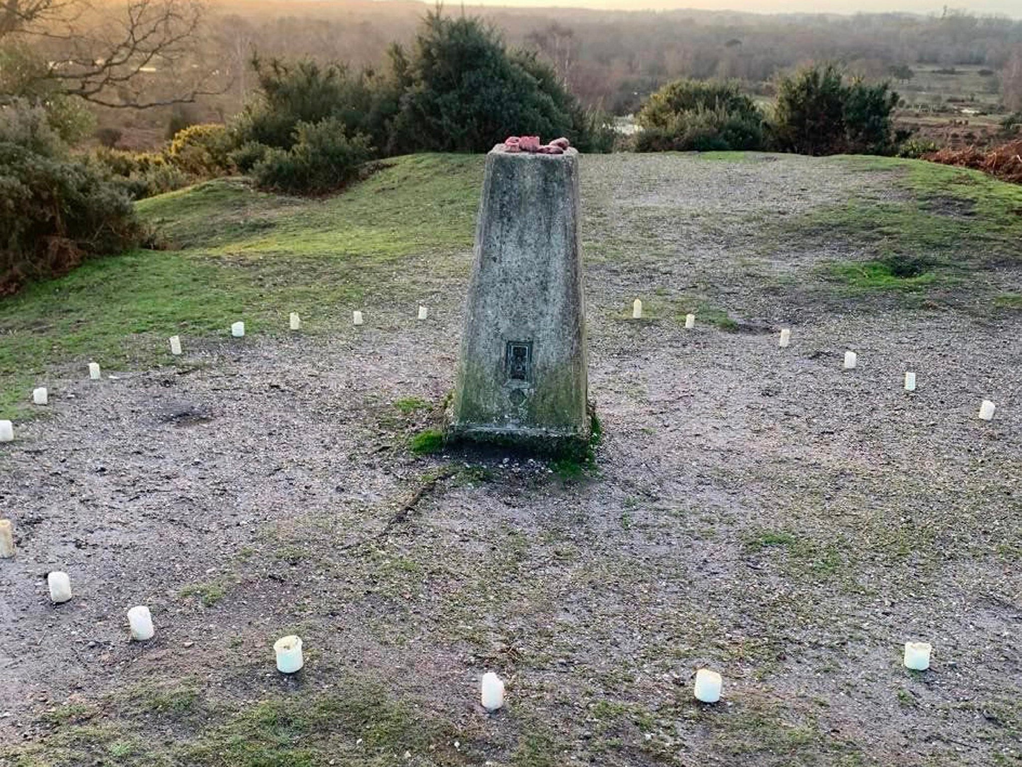 The pig hearts were placed on top of a mound