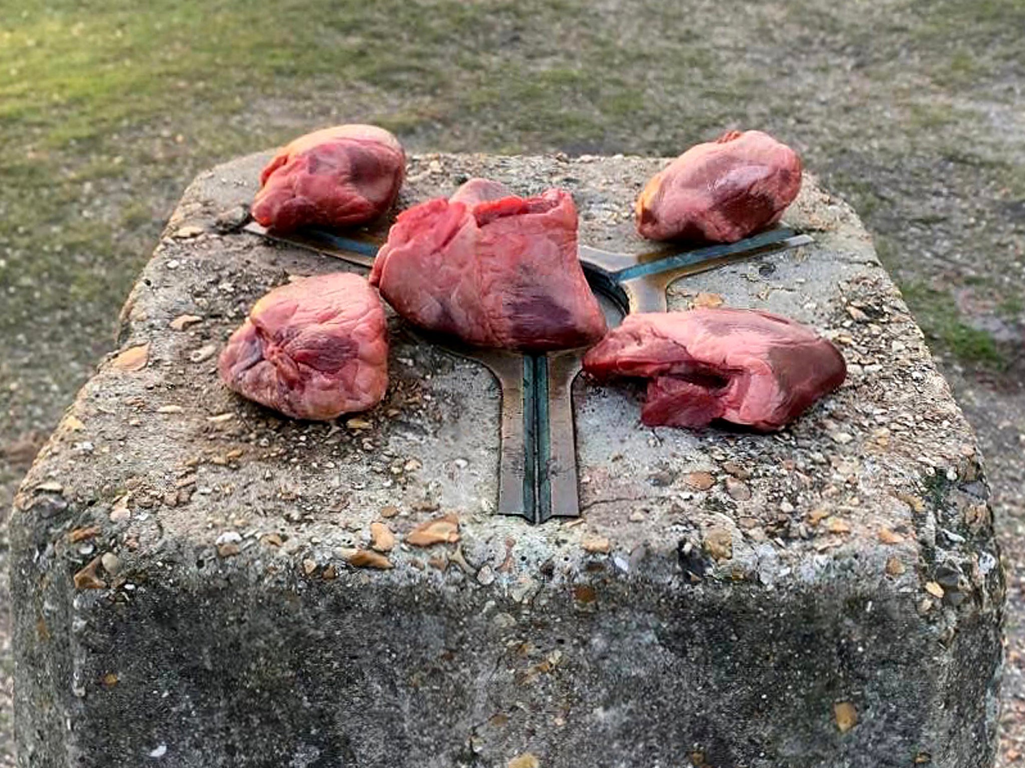 The five suspected pig hearts were placed atop the medieval mound