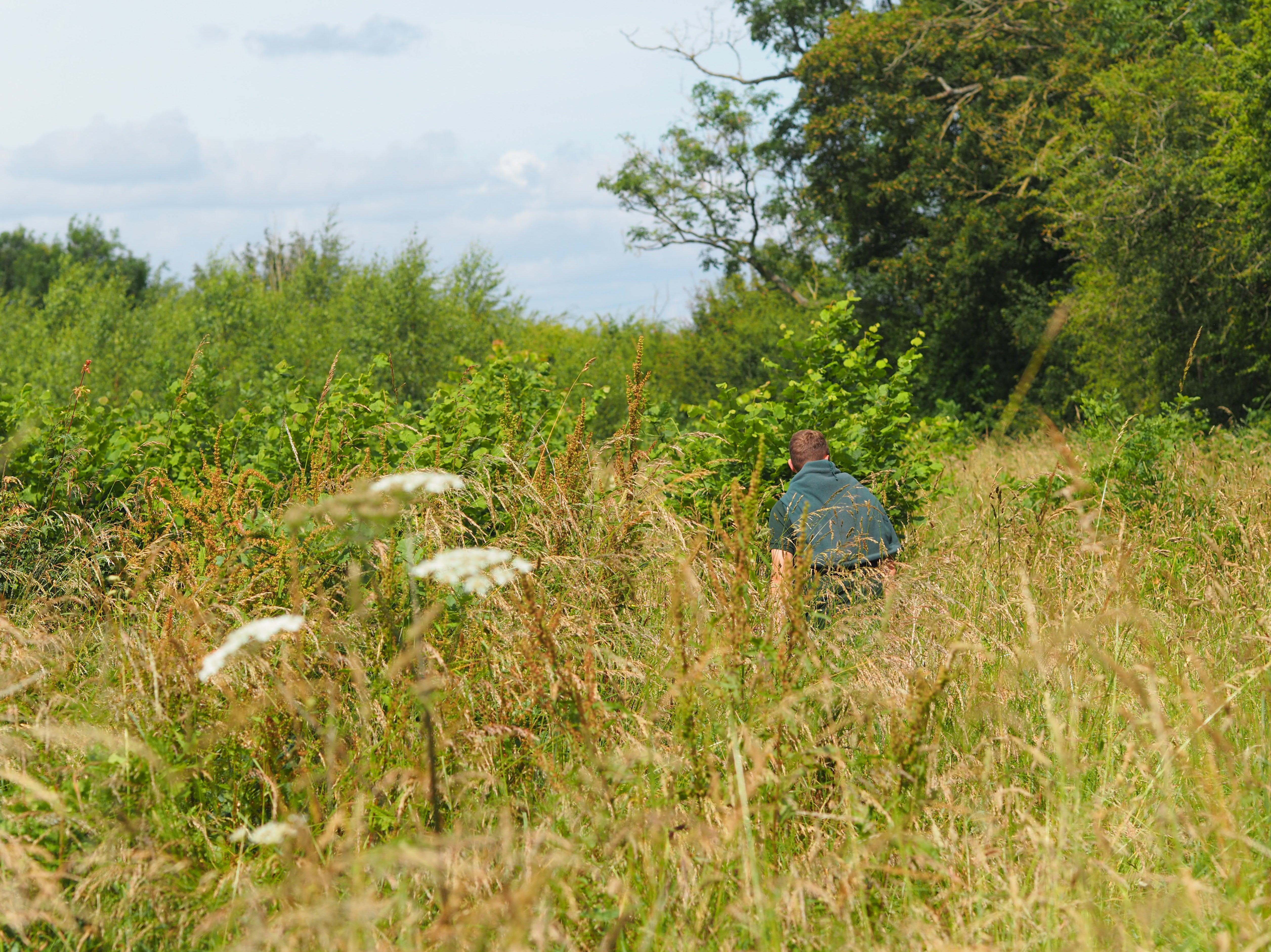 Elmore Court has committed to rewilding