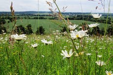 Government bonuses for eco-friendly farming practices brought forward