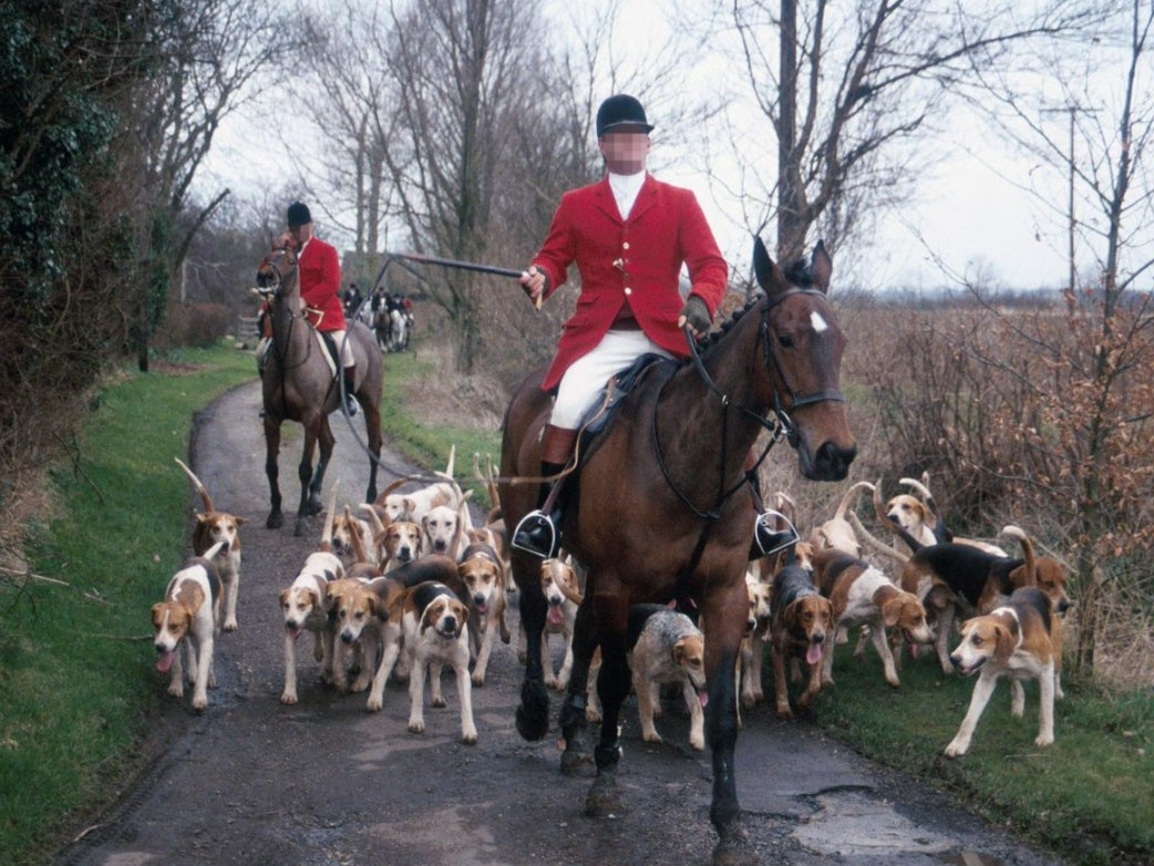 Hunters will be allowed to use only two dogs to flush out an animal from underground in Scotland